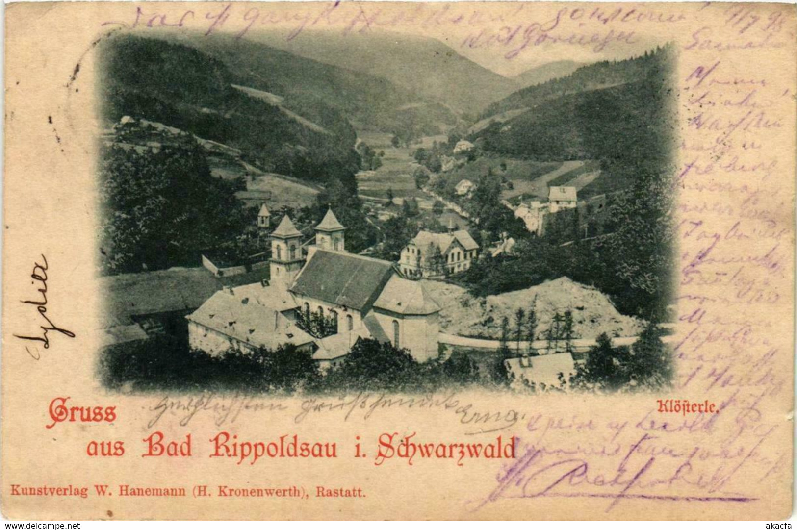 CPA AK Gruss Aus Bad Rippoldsau Im Schwarzwald GERMANY (738841) - Bad Rippoldsau - Schapbach