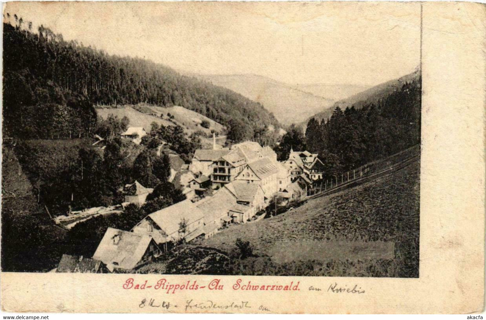 CPA AK Bad-Rippolds-Au Schwarzwald GERMANY (738846) - Bad Rippoldsau - Schapbach