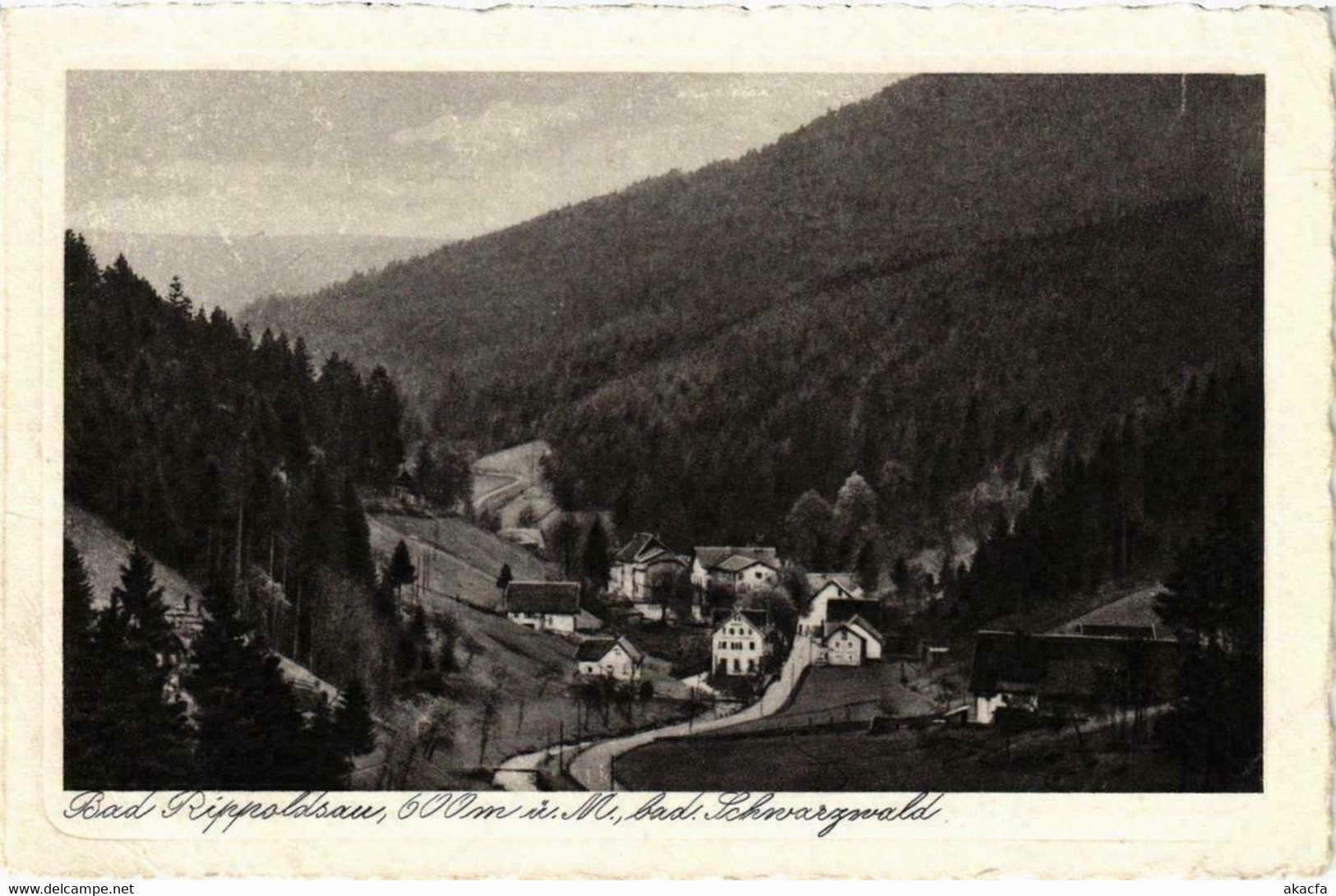 CPA AK Bad Rippoldsau Schwarzwald GERMANY (738847) - Bad Rippoldsau - Schapbach