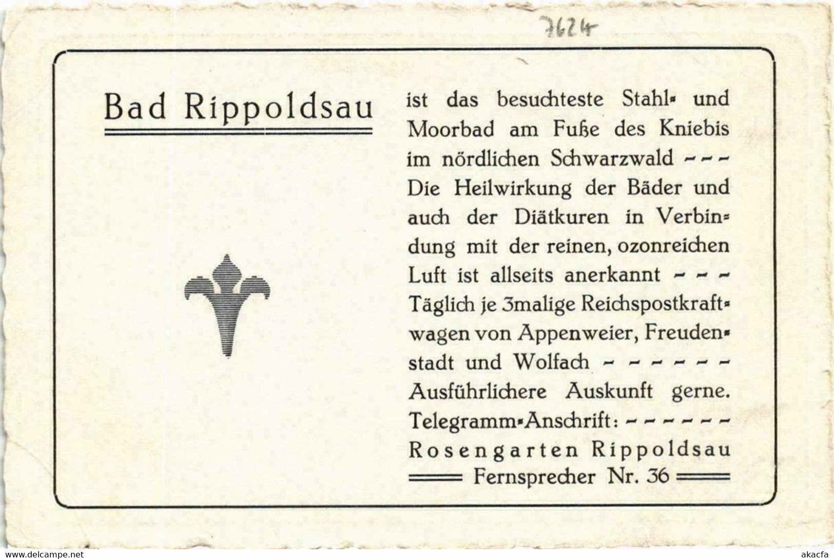 CPA AK Bad Rippoldsau Schwarzwald GERMANY (738847) - Bad Rippoldsau - Schapbach