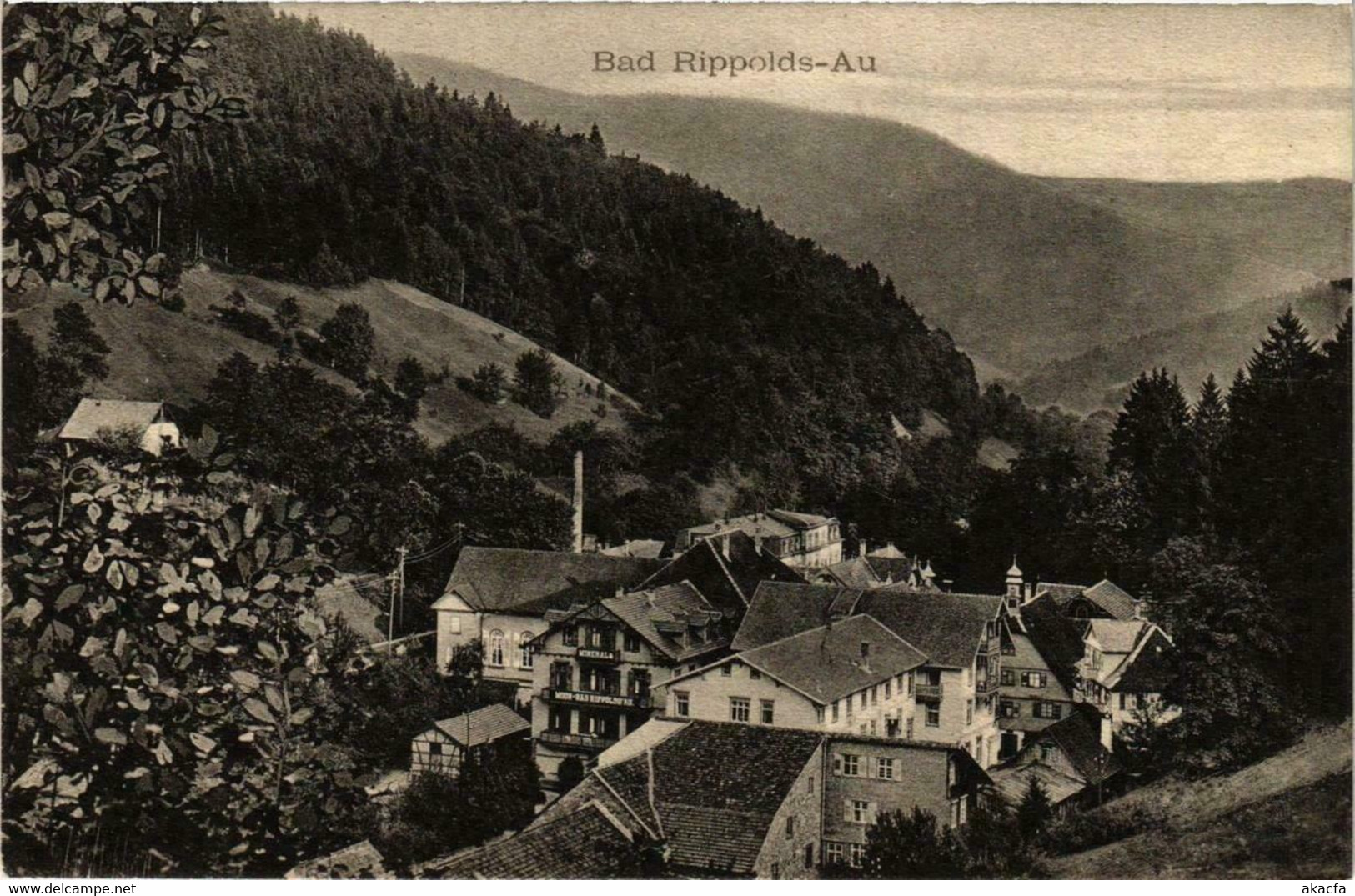CPA AK Bad Rippolds-Au GERMANY (738853) - Bad Rippoldsau - Schapbach