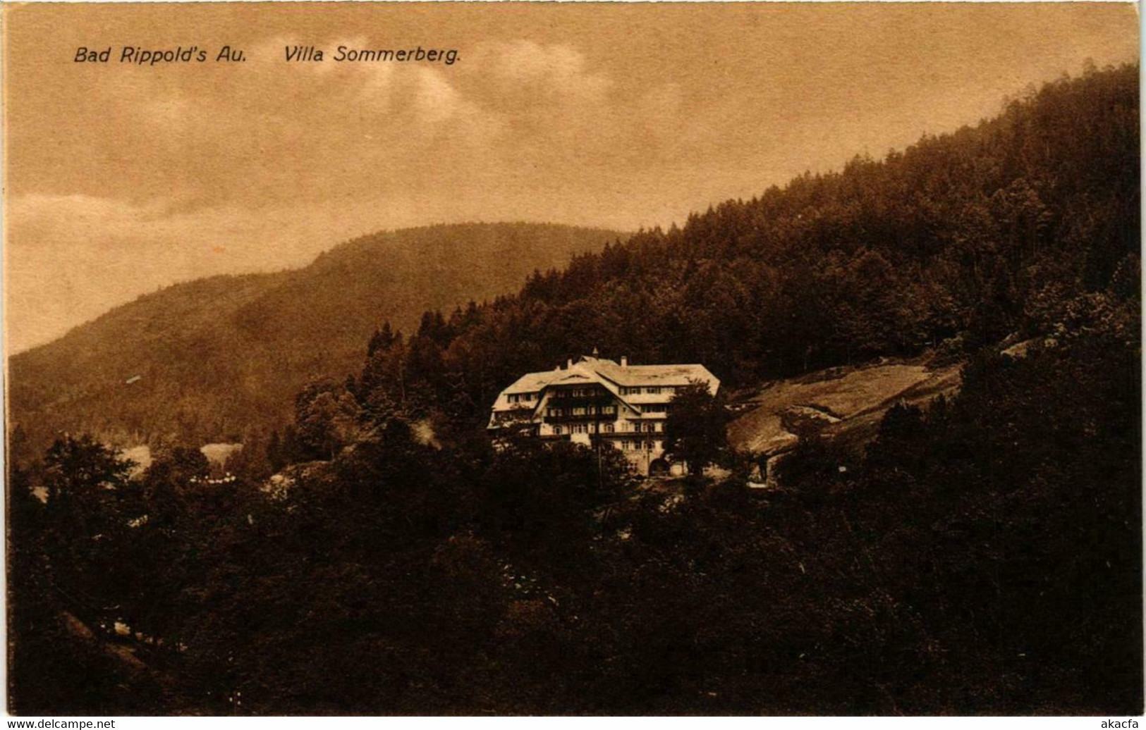 CPA AK Bad Rippold's Au. Villa Sommerberg GERMANY (738857) - Bad Rippoldsau - Schapbach