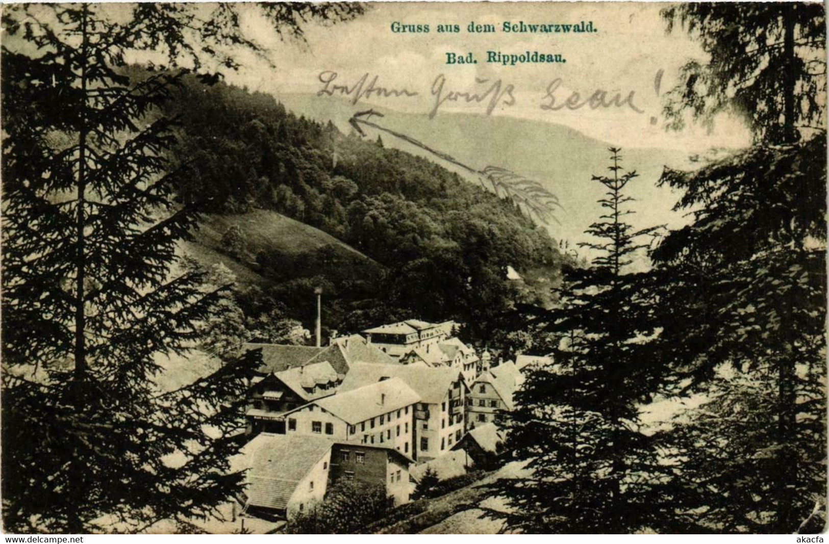 CPA AK Gruss Aus Dem Schwarzwald Bad Rippoldsau GERMANY (738859) - Bad Rippoldsau - Schapbach