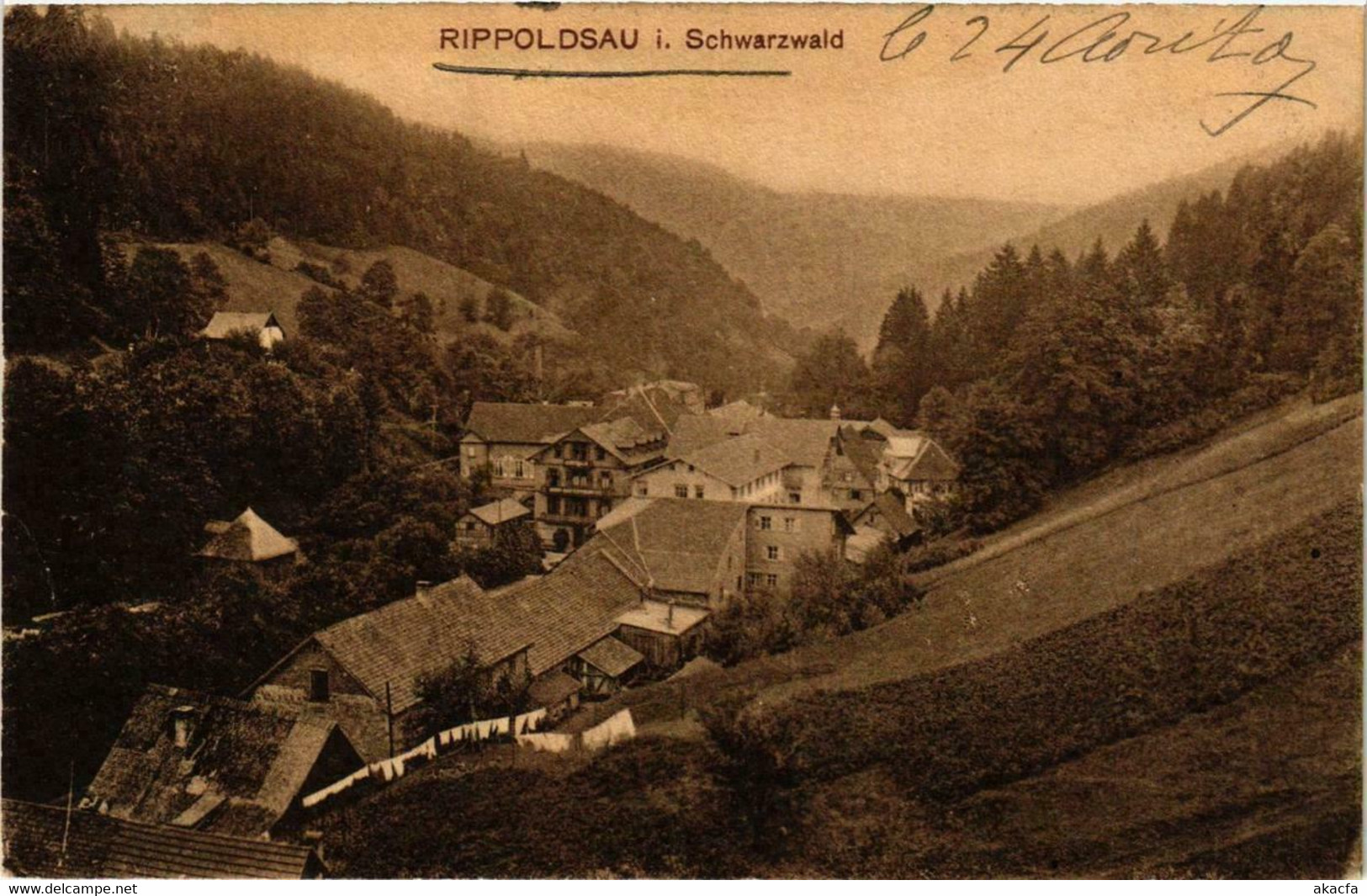 CPA AK Rippoldsau Im Schwarzwald GERMANY (738863) - Bad Rippoldsau - Schapbach