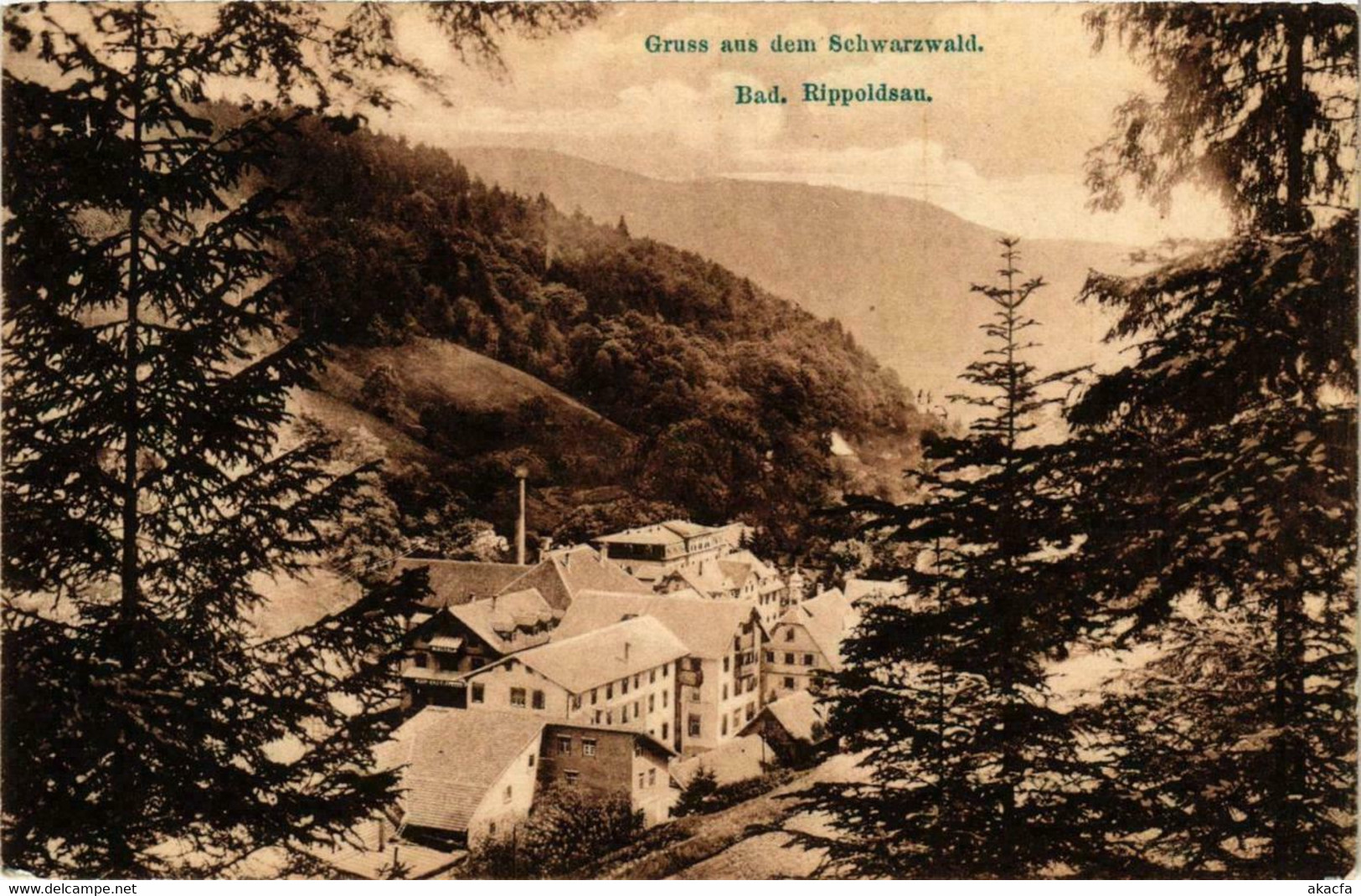 CPA AK Gruss Aus Dem Schwarzwald Bad Rippoldsau GERMANY (738877) - Bad Rippoldsau - Schapbach