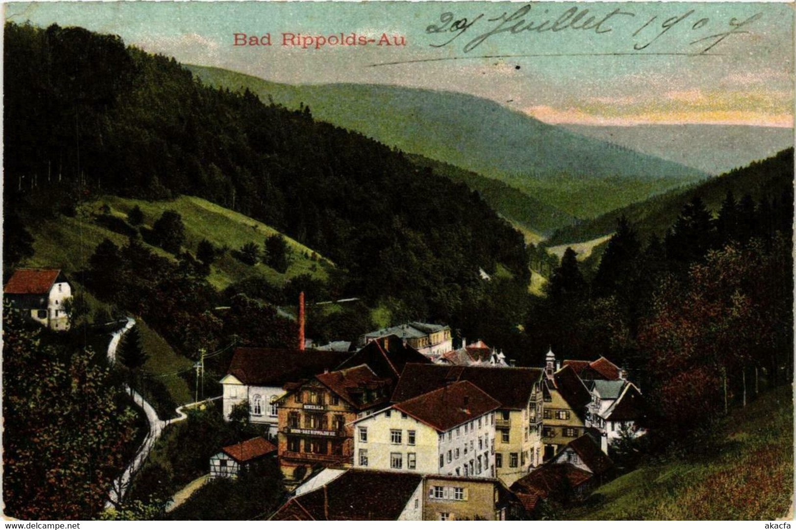 CPA AK Bad Rippolds-Au GERMANY (738884) - Bad Rippoldsau - Schapbach