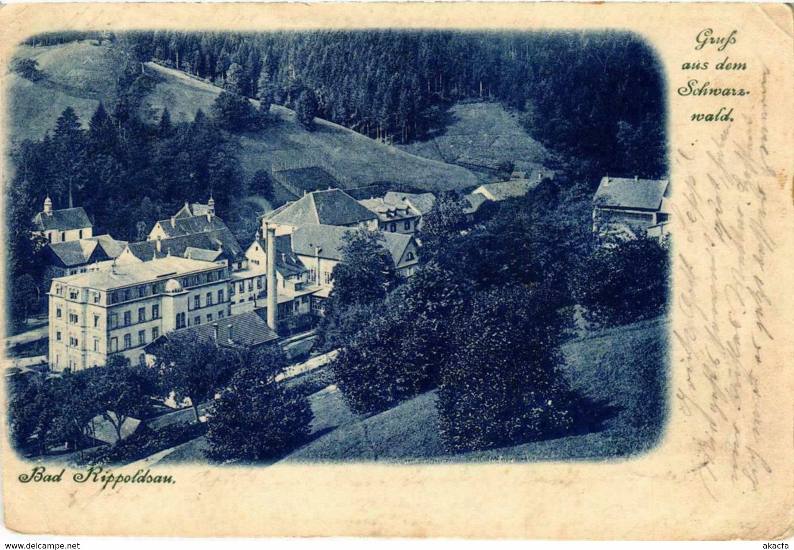 CPA AK Bad Rippoldsau Gruss Aus Dem Schwarzwald GERMANY (738880) - Bad Rippoldsau - Schapbach