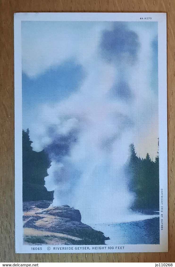 16065 Riverside Geyser, Height 100 Feet  2/2 Non Circulé - Yellowstone