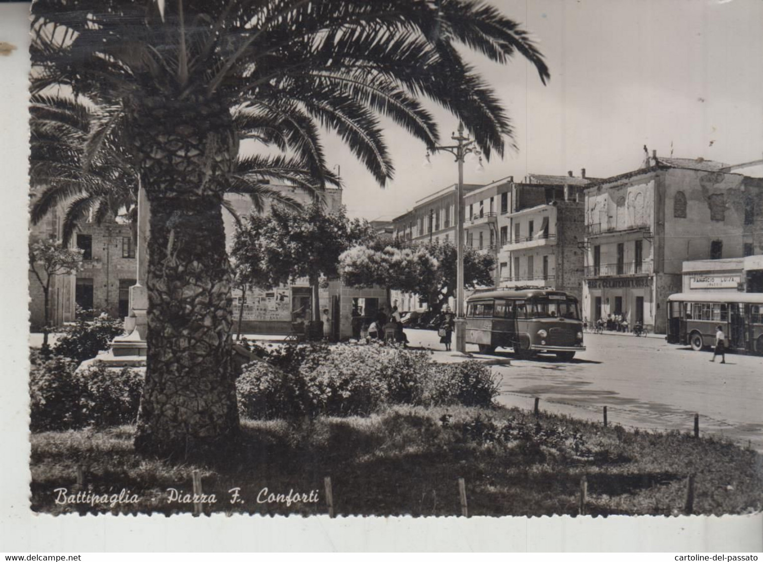 BATTIPAGLIA SALERNO PIAZZA F. CONFORTI  BUS PULLMAN CORRIERE VG  1954 - Battipaglia