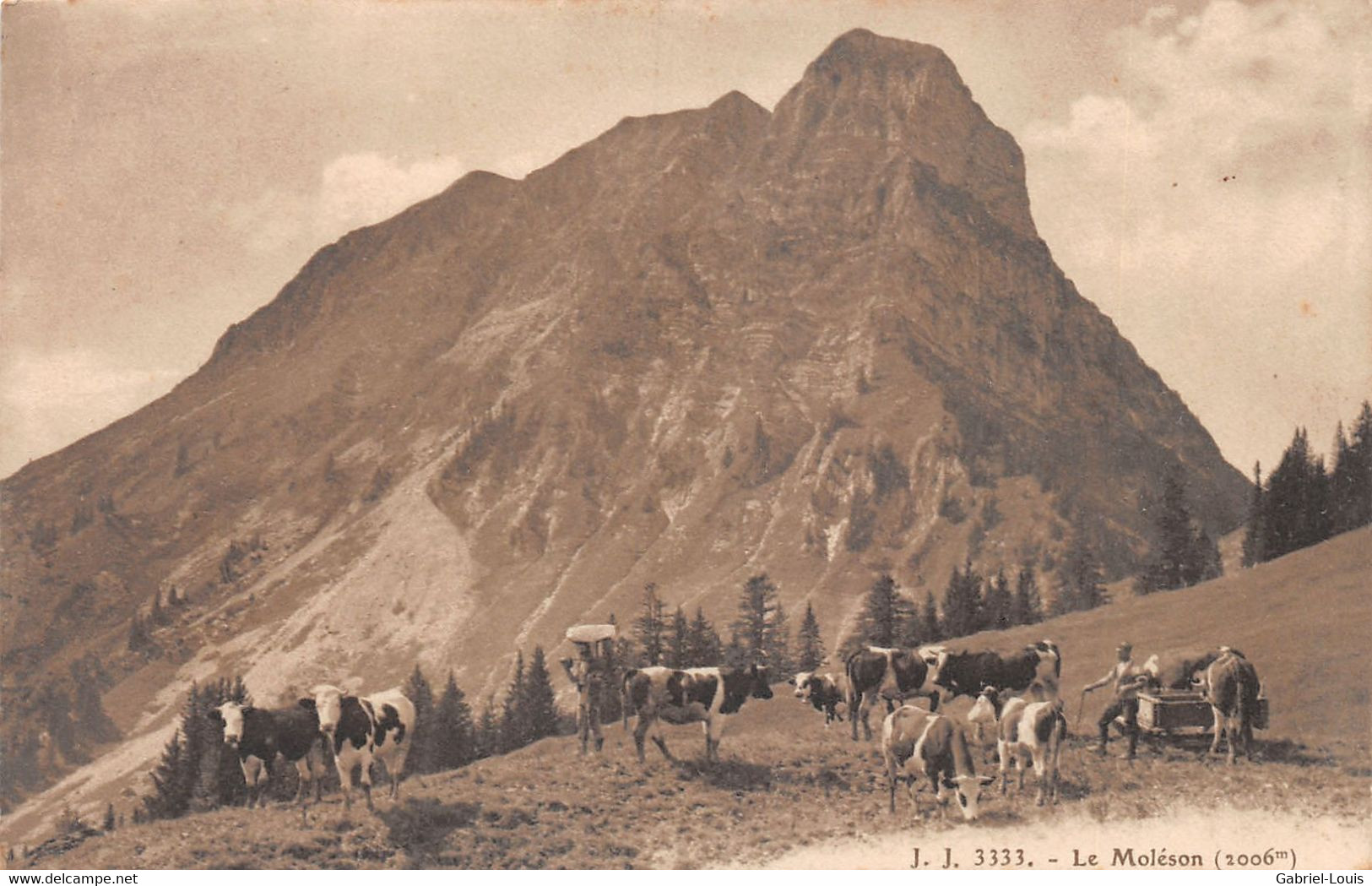 Le Moléson - Armaillis - Troupeau De Vaches - Oiseau à Fromage - Alpage Gruyère - Gruyères - Gruyères