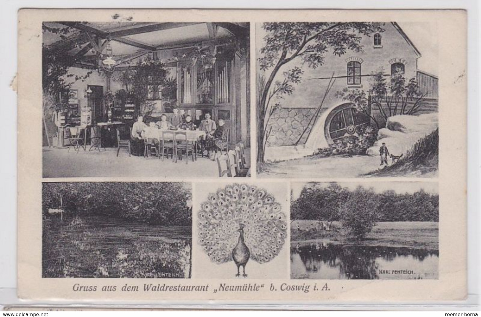 92901 Mehrbild Ak Gruß Aus Dem Waldrestaurant 'Neumühle' Bei Coswig 1908 - Andere & Zonder Classificatie