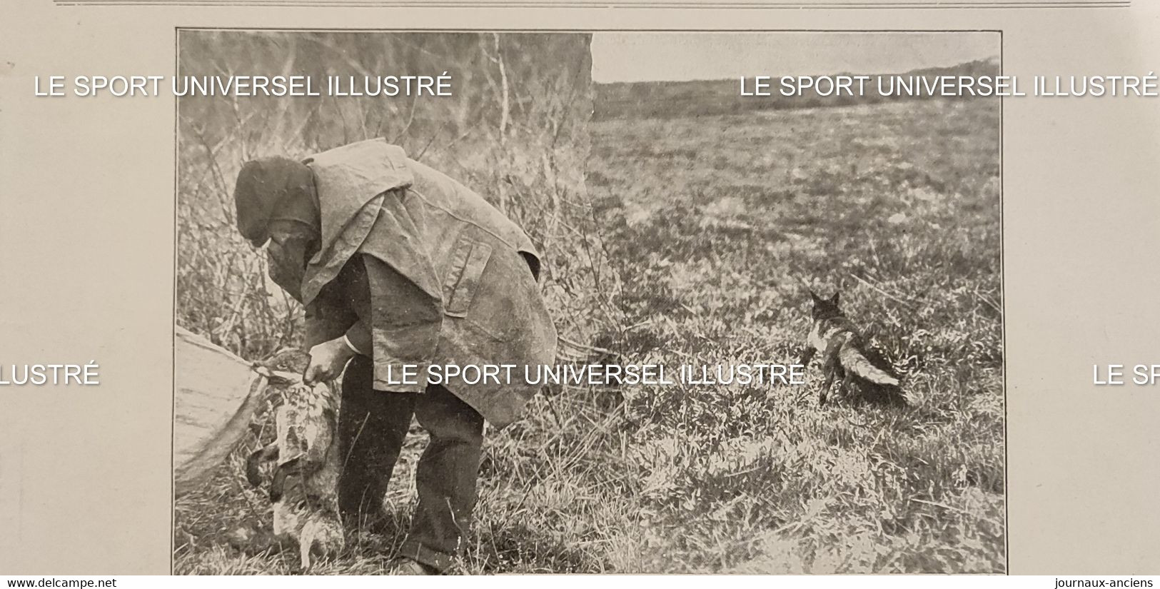 1910 PAU - LES CHASSES - DRAGS DE PAU - RENARD - 1900 - 1949