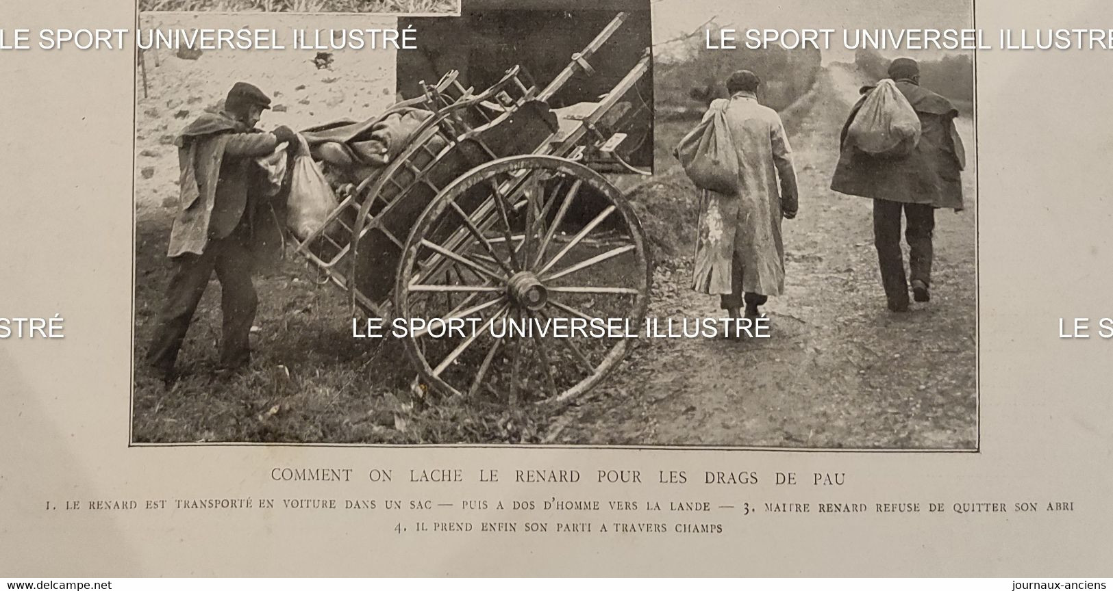1910 PAU - LES CHASSES - DRAGS DE PAU - RENARD - 1900 - 1949