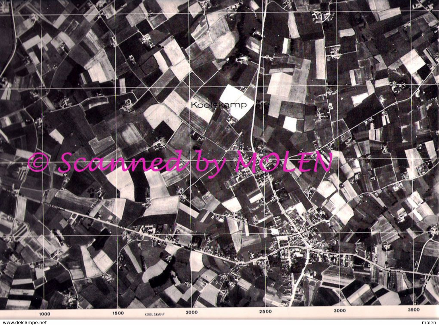 ZWEVEZELE KOOLSKAMP Toestand In 1971 GROTE LUCHT-FOTO 63x48cm KAART ORTO PLAN 1/10.000 CARTOGRAPHIE PHOTO AERIENNE R262 - Wingene