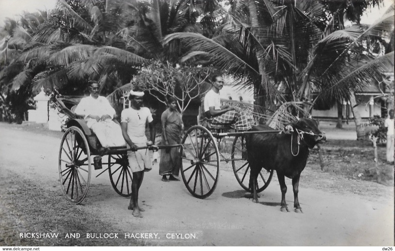 Ceylan: Rickshaw And Bullock Hackery (pousse-pousse Et Char à Boeuf) Plâté Ltd, Ceylon - Carte N° 60 Non Circulée - Asie