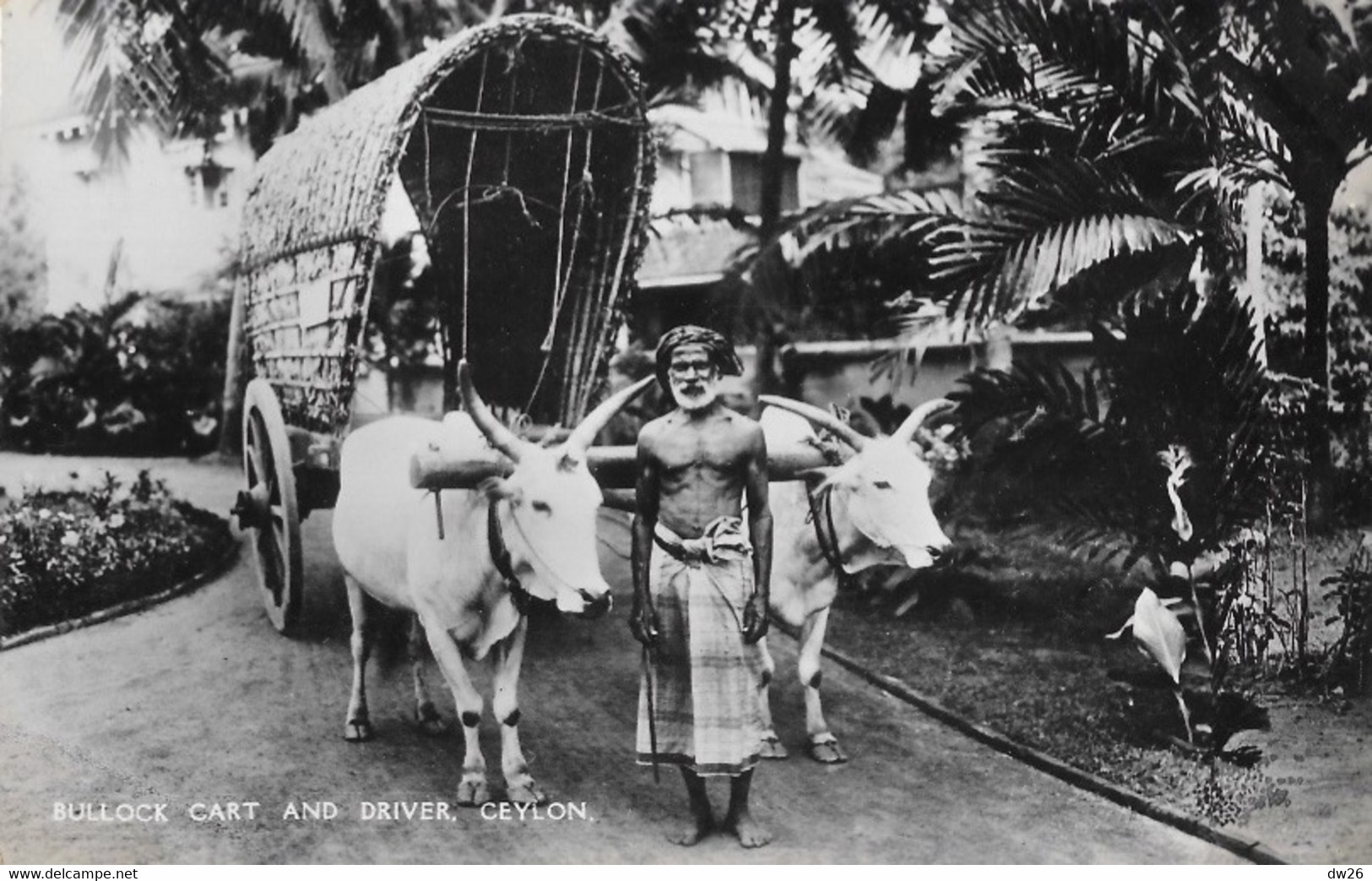 Ceylan: Bullock Cart And Driver (char à Boeufs) Plâté Ltd, Ceylon - Carte N° 68 Non Circulée - Asie