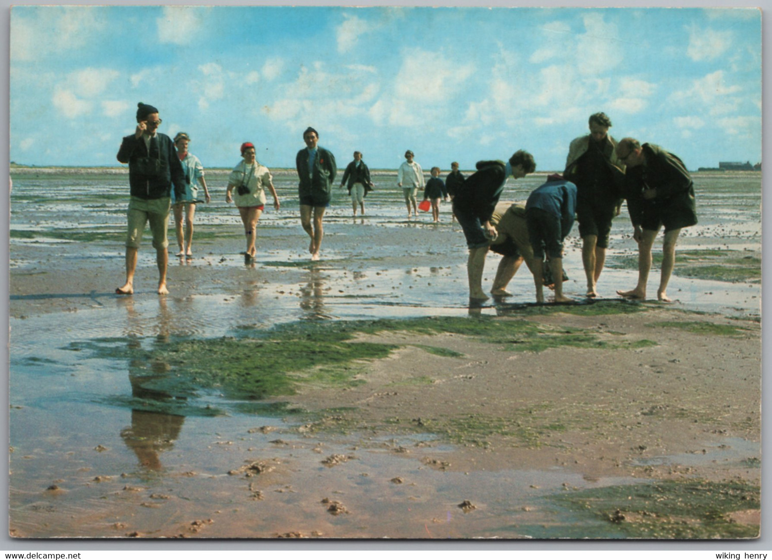 Friesland - Nordfriesland 1   Nordfriesisches Wattenmeer  Das Sandwatt Zur Ebbzeit - Nordfriesland