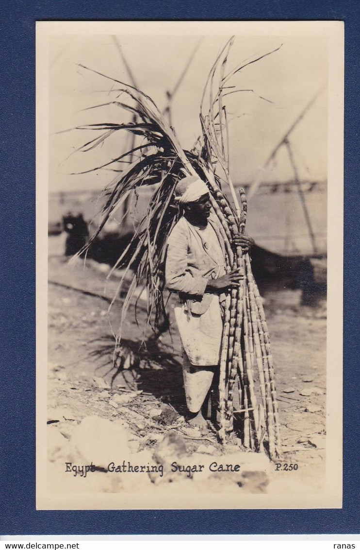 CPA Egypte Type Métier Carte Photo Non Circulé - Sonstige & Ohne Zuordnung