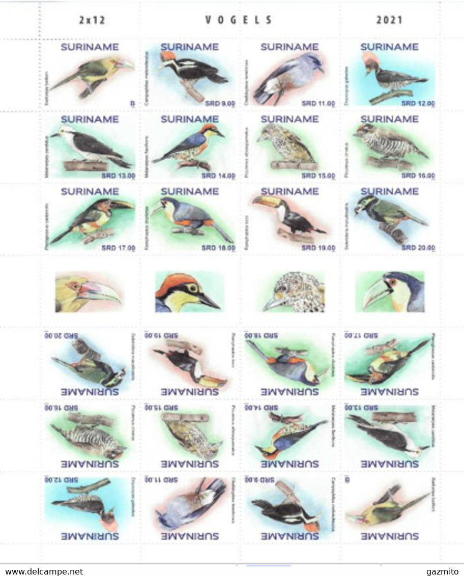 Suriname 2021, Tropical Birds, Sheetlet - Surinam