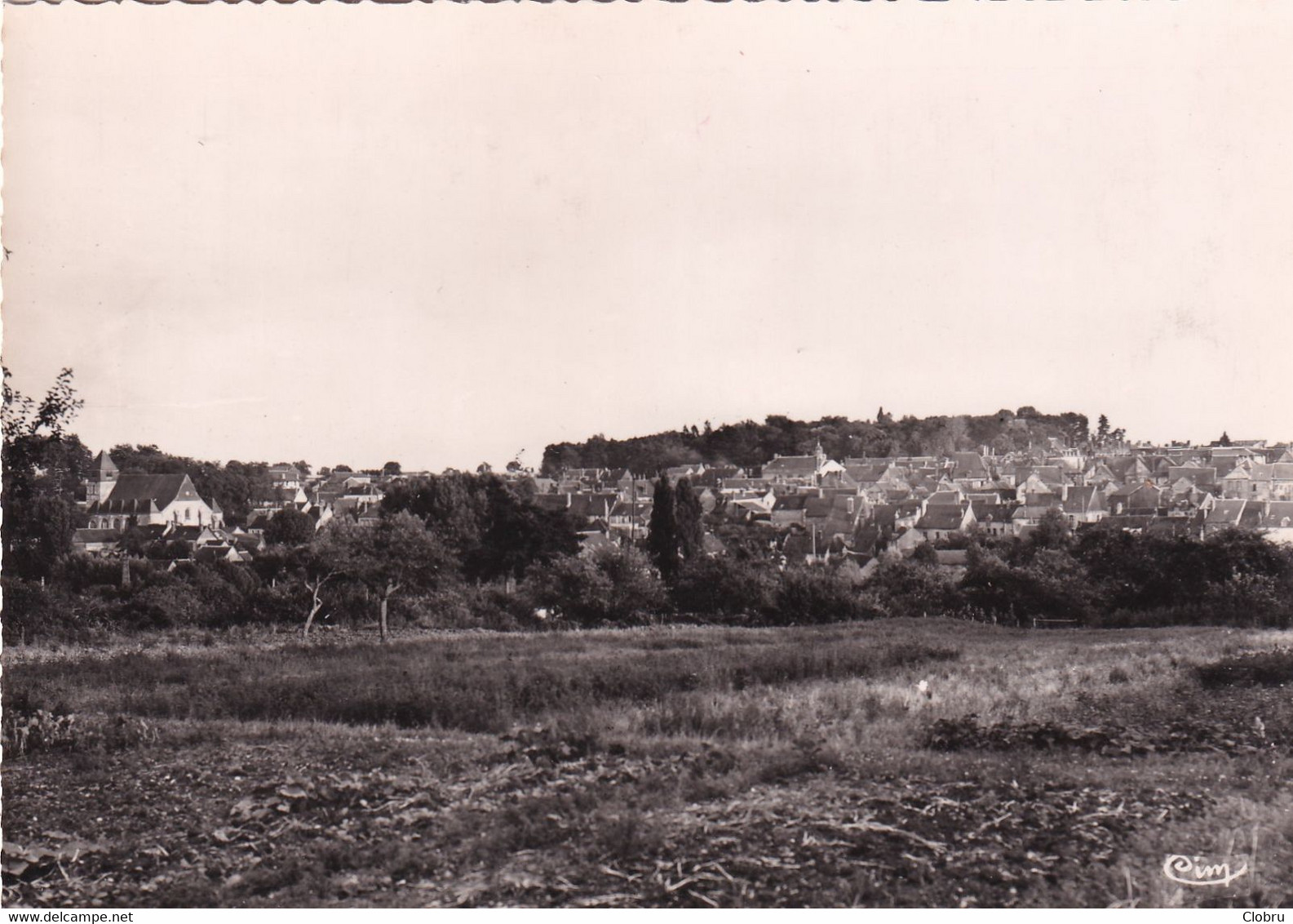 45, Courtenay, Vue Générale - Courtenay