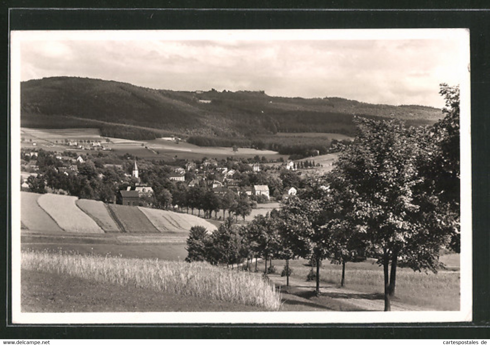 AK Erlbach I. Vogtland, Blick Auf Die Gebirgssommerfrische - Vogtland