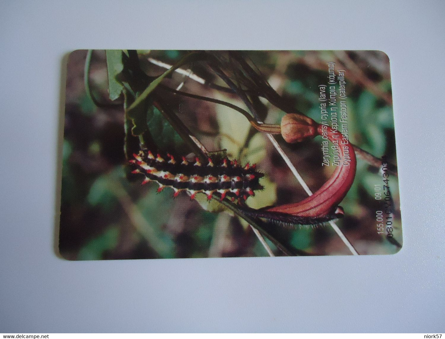CYPRUS USED CARDS  BUTTERFLIES   2 Scan - Schmetterlinge