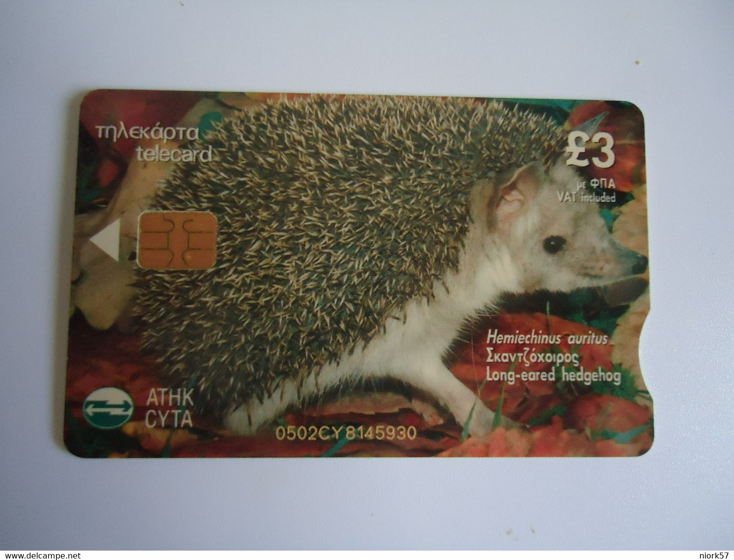 CYPRUS USED  CARDS  ANIMALS HARE  RABBIS - Conigli