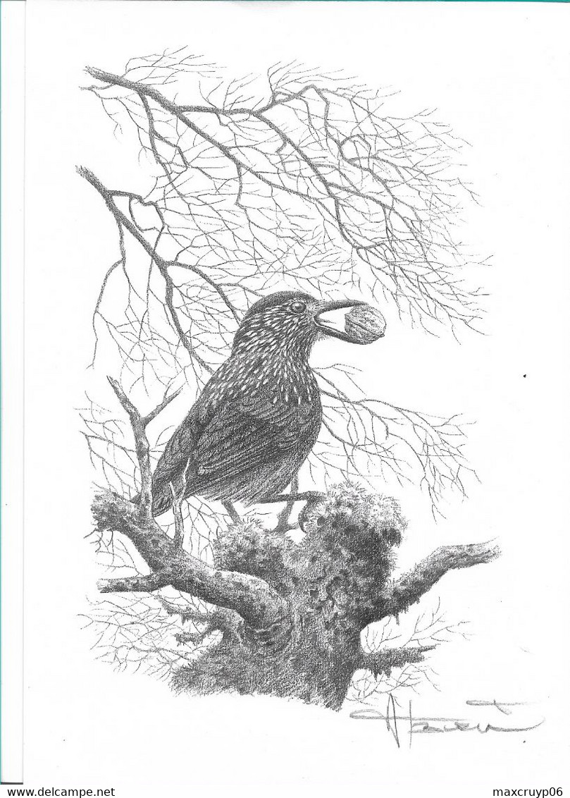 Dessin A4 De A. Buzin - 1985-.. Birds (Buzin)