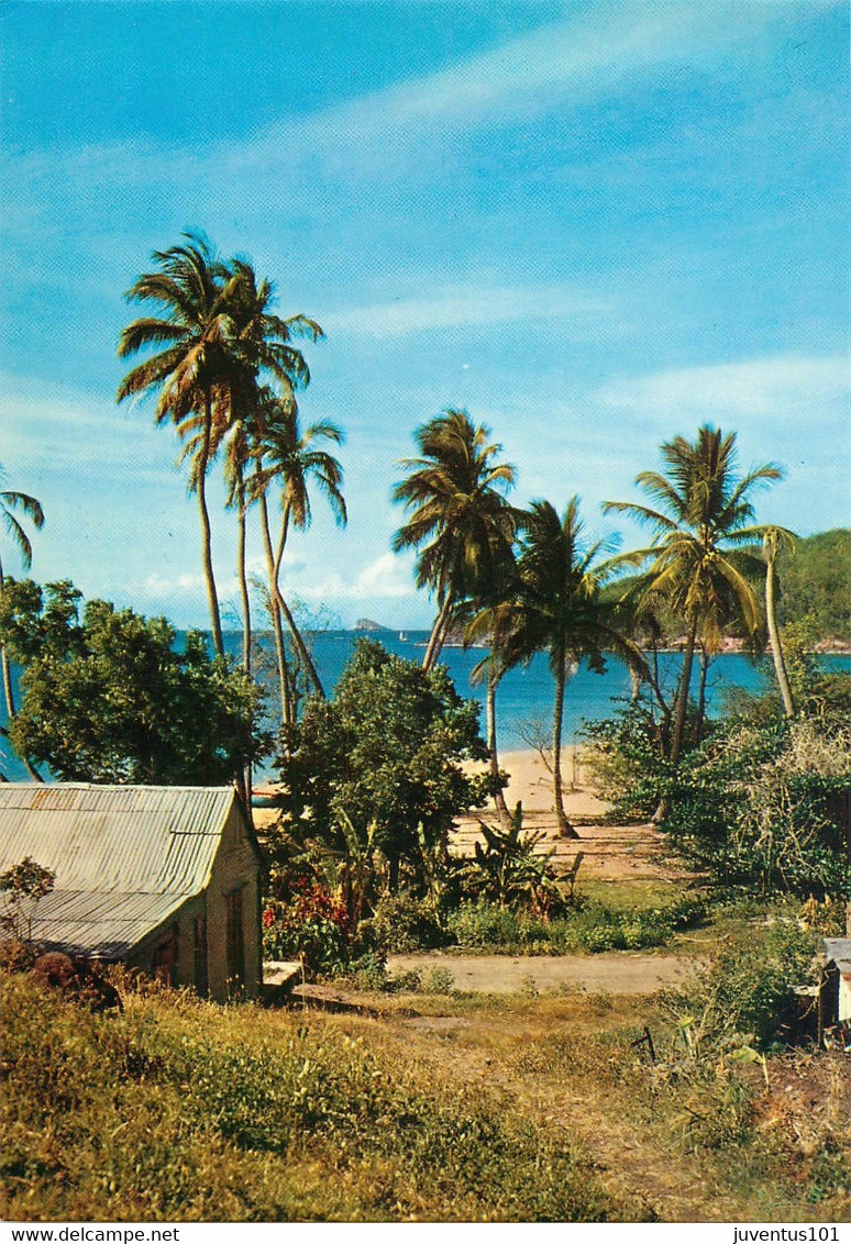 CPSM Guadeloupe-Rivage    L676 - Saint Martin