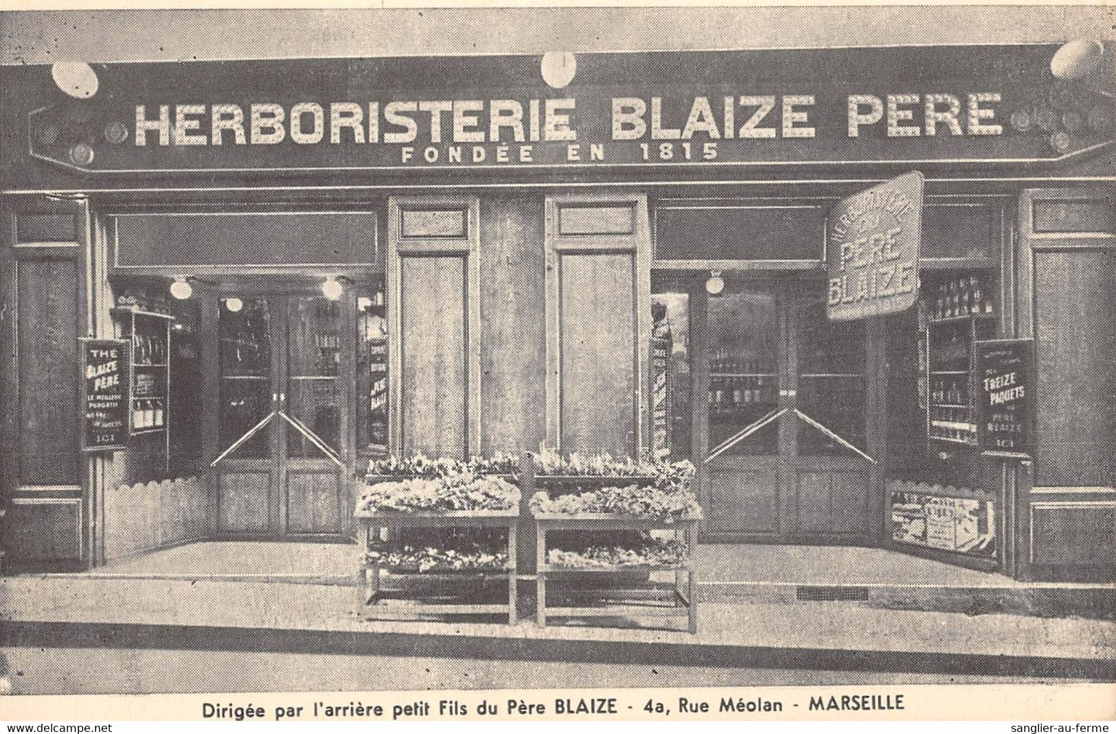 CPA 13 MARSEILLE HERBORISTERIE BLAIZE PERE RUE MEOLAN - Non Classés