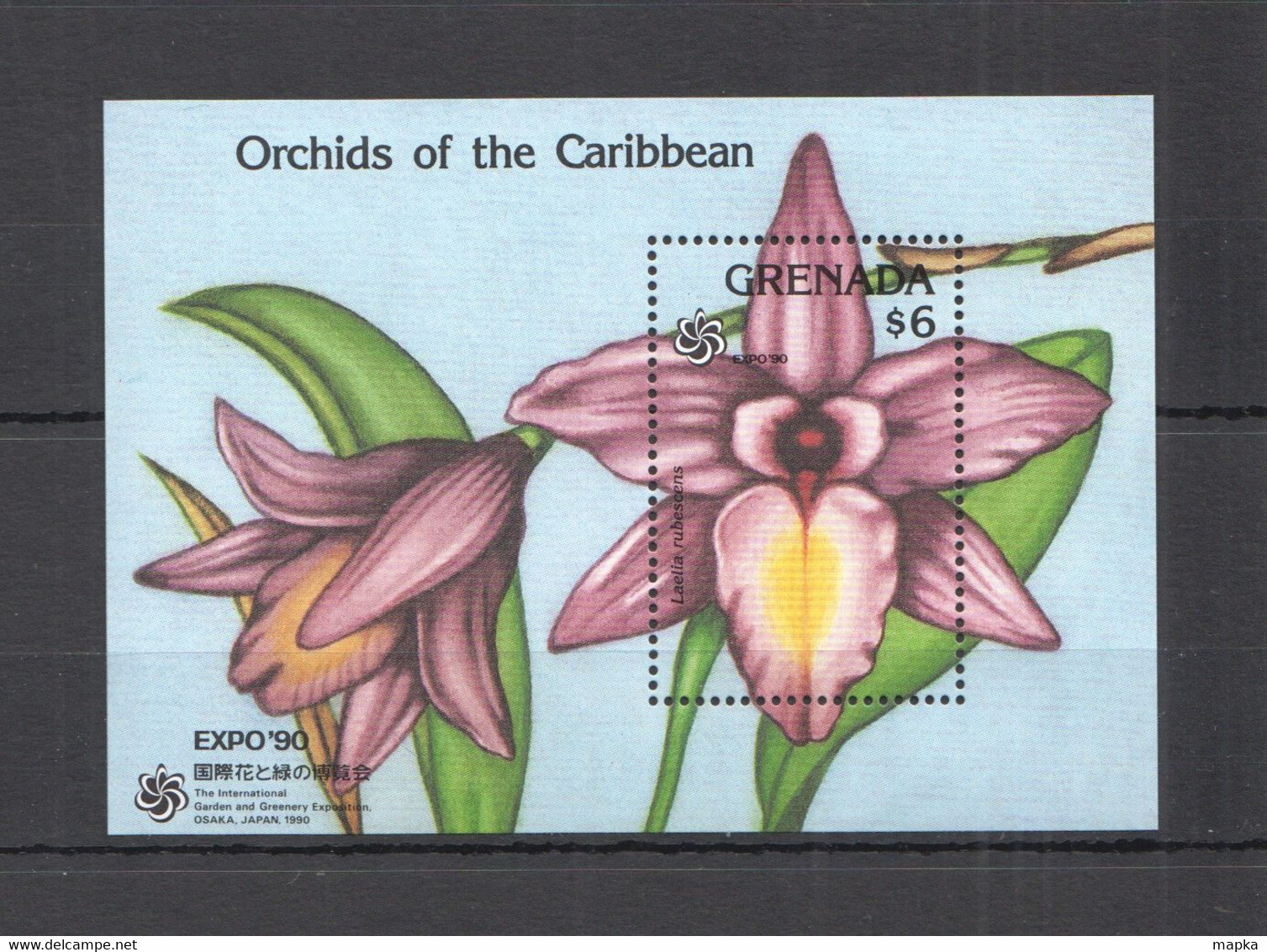 TT886 1990 GRENADA FLORA NATURE FLOWERS ORCHIDS OF THE CARIBBEAN BL MNH - Orchideen