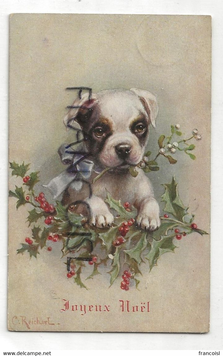 Joyeux Noël. Petit Chien, Houx, Gui. Signée Reichert. 1907 - Other & Unclassified