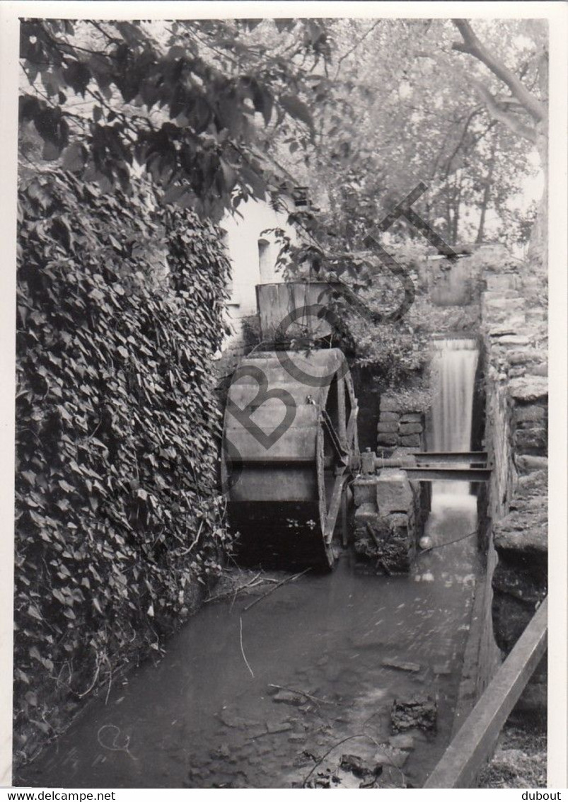 WEMMEL  Molen / Moulin - Originele Foto Jaren '70  - Molen Van Amelgem, Elveriksmolen, Stw Op Brussel  (Q150) - Wemmel