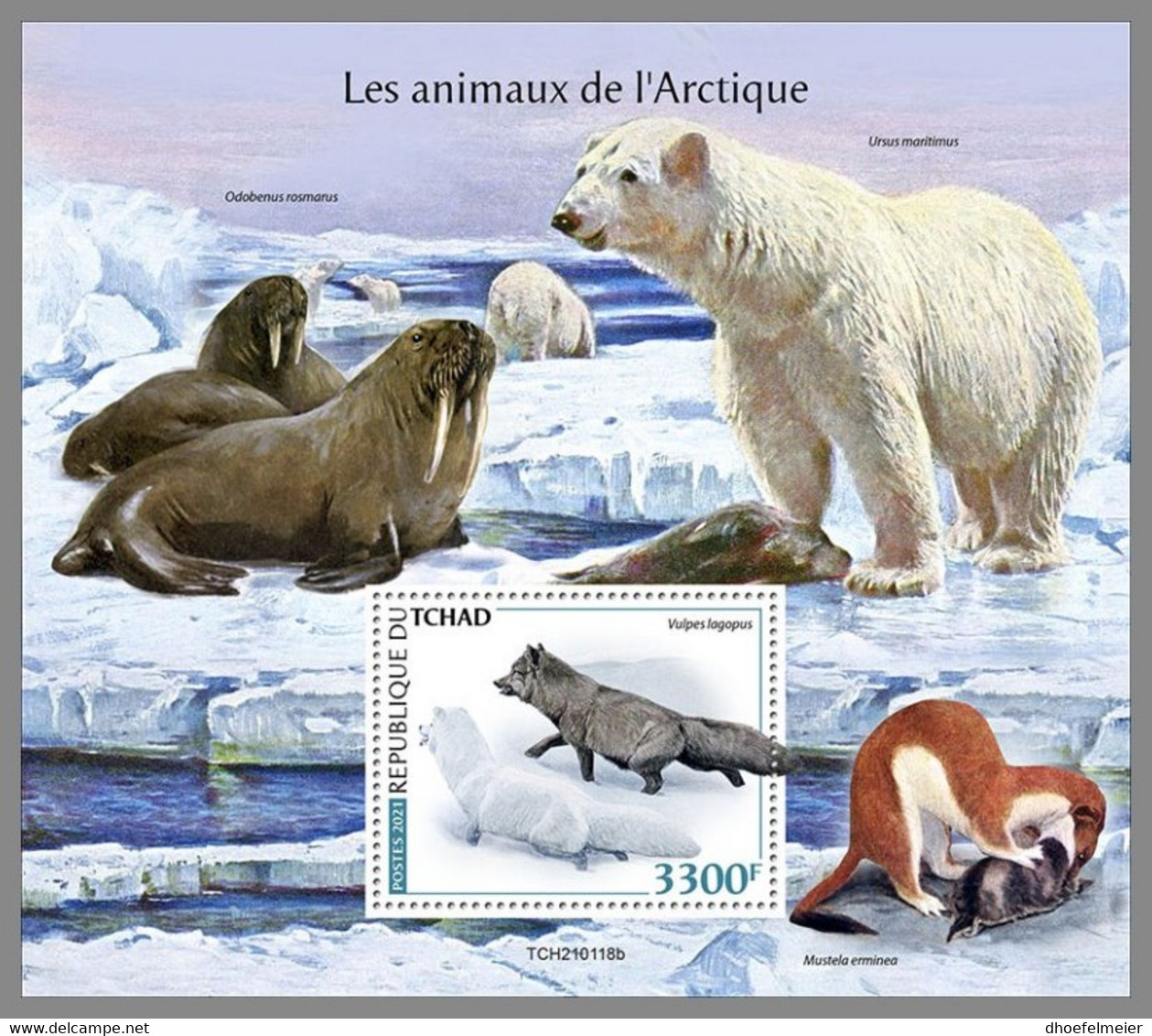 CHAD 2021 MNH Arctic Animals Arktische Tiere Animaux Arctique S/S - OFFICIAL ISSUE - DHQ2123 - Arctic Tierwelt