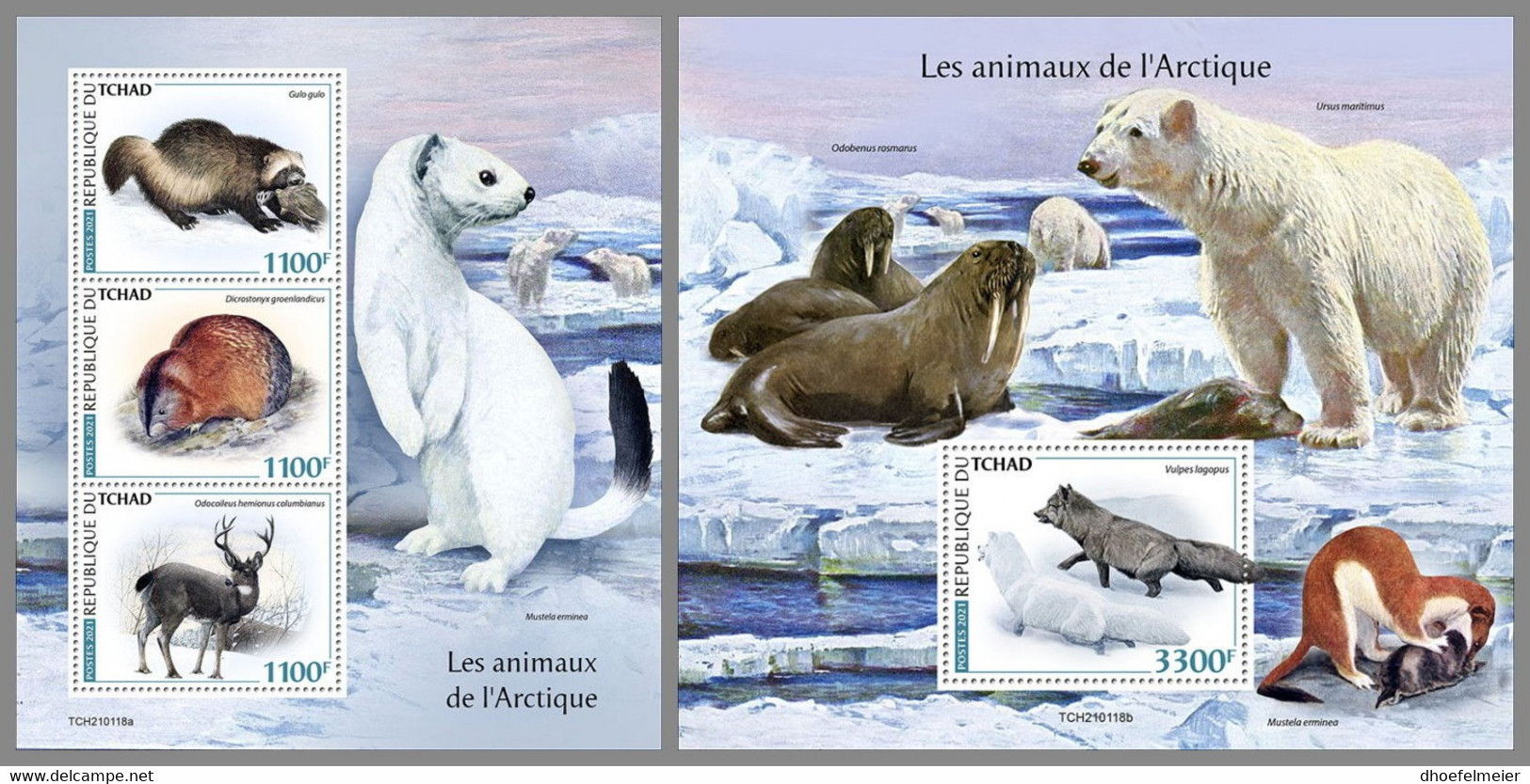 CHAD 2021 MNH Arctic Animals Arktische Tiere Animaux Arctique M/S+S/S - OFFICIAL ISSUE - DHQ2123 - Faune Arctique