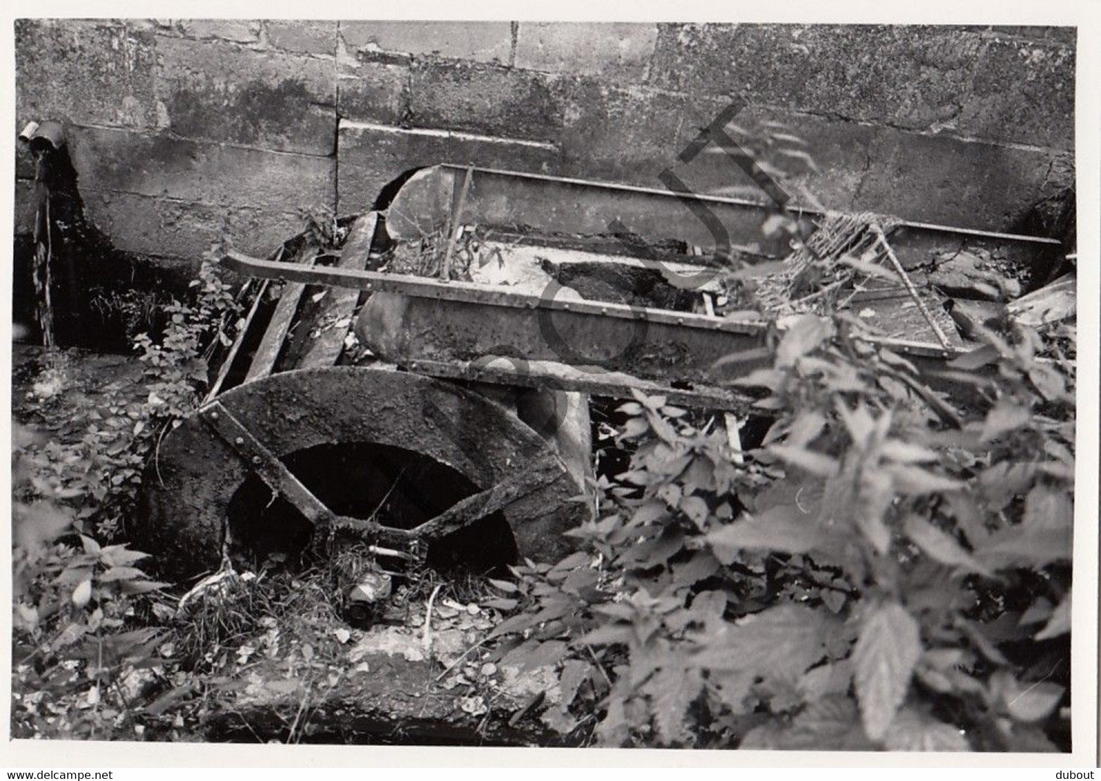 S'GRAVENVOEREN - Molen / Moulin - Originele Foto Jaren '70  - Molenweg 2 (Q187) - Voeren