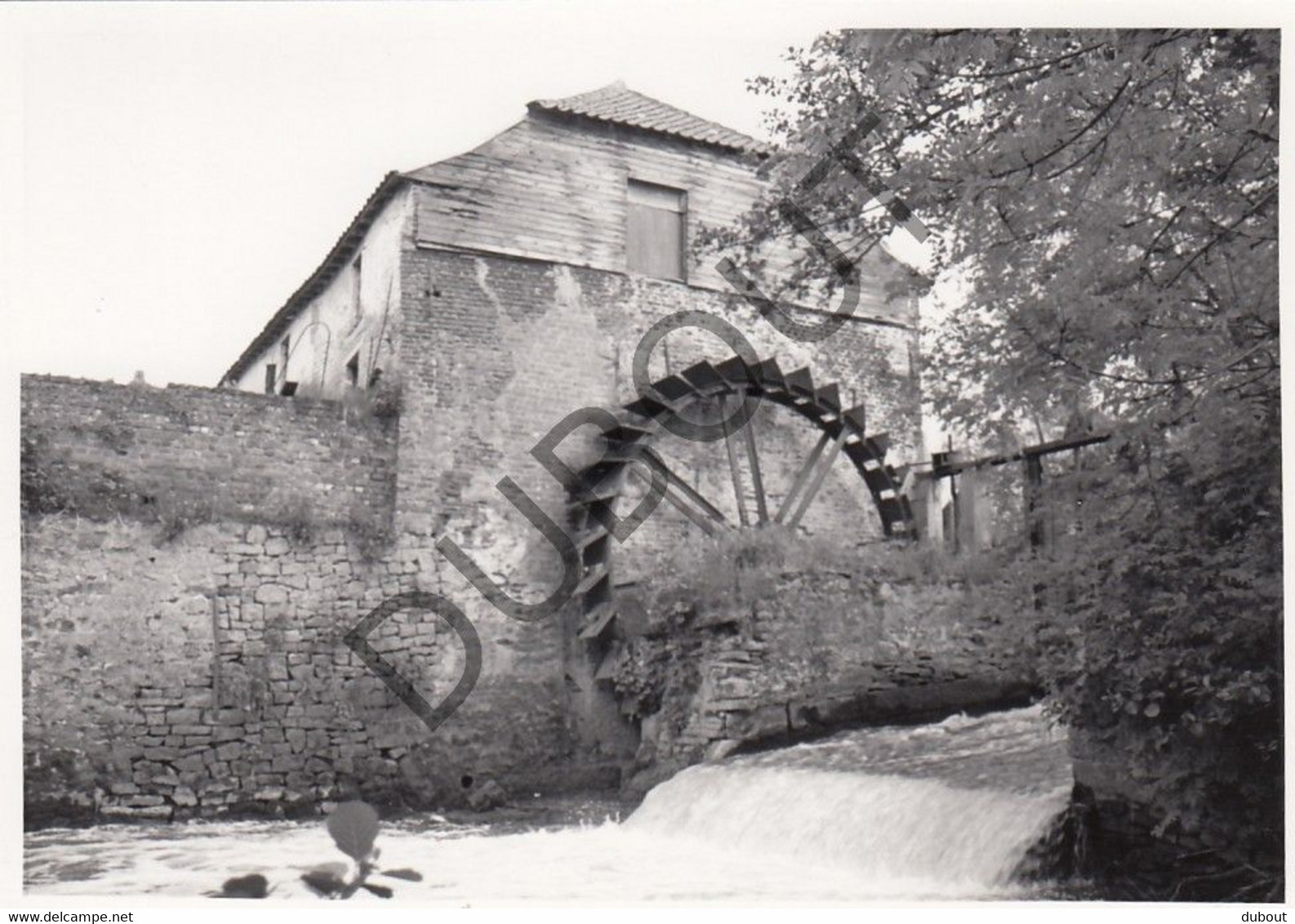 REBECQ ROGNON  - Molen / Moulin - Originele Foto Jaren '70  - Moulins D'HOUX (Q267) - Rebecq