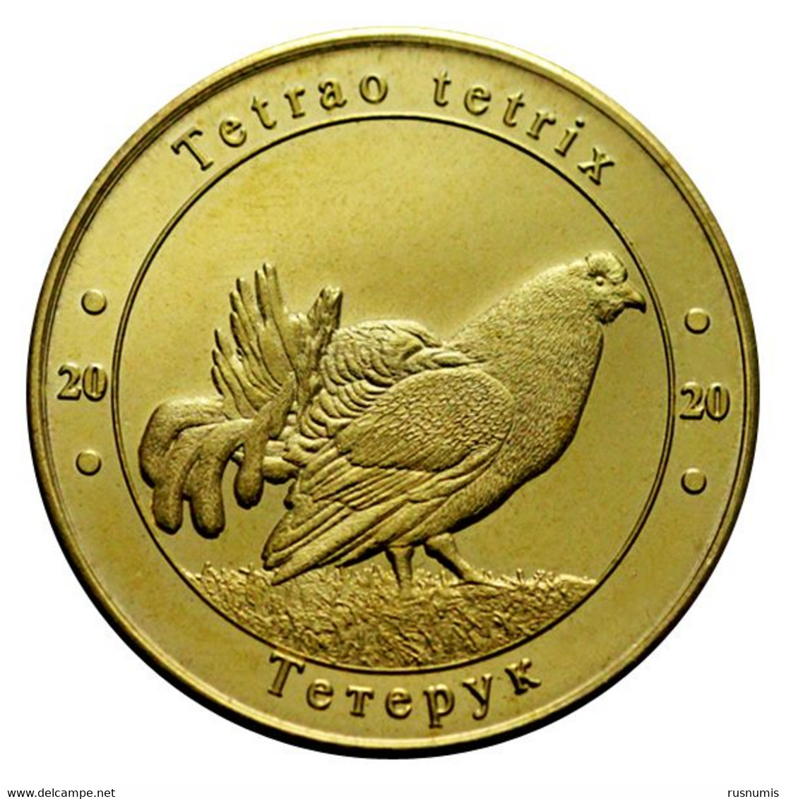 UKRAINE 1 ZLOTNIK FAUNA RED BOOK -  BLACK GROUSE BIRD TETRAO TETRIX 2020 - Ucrania