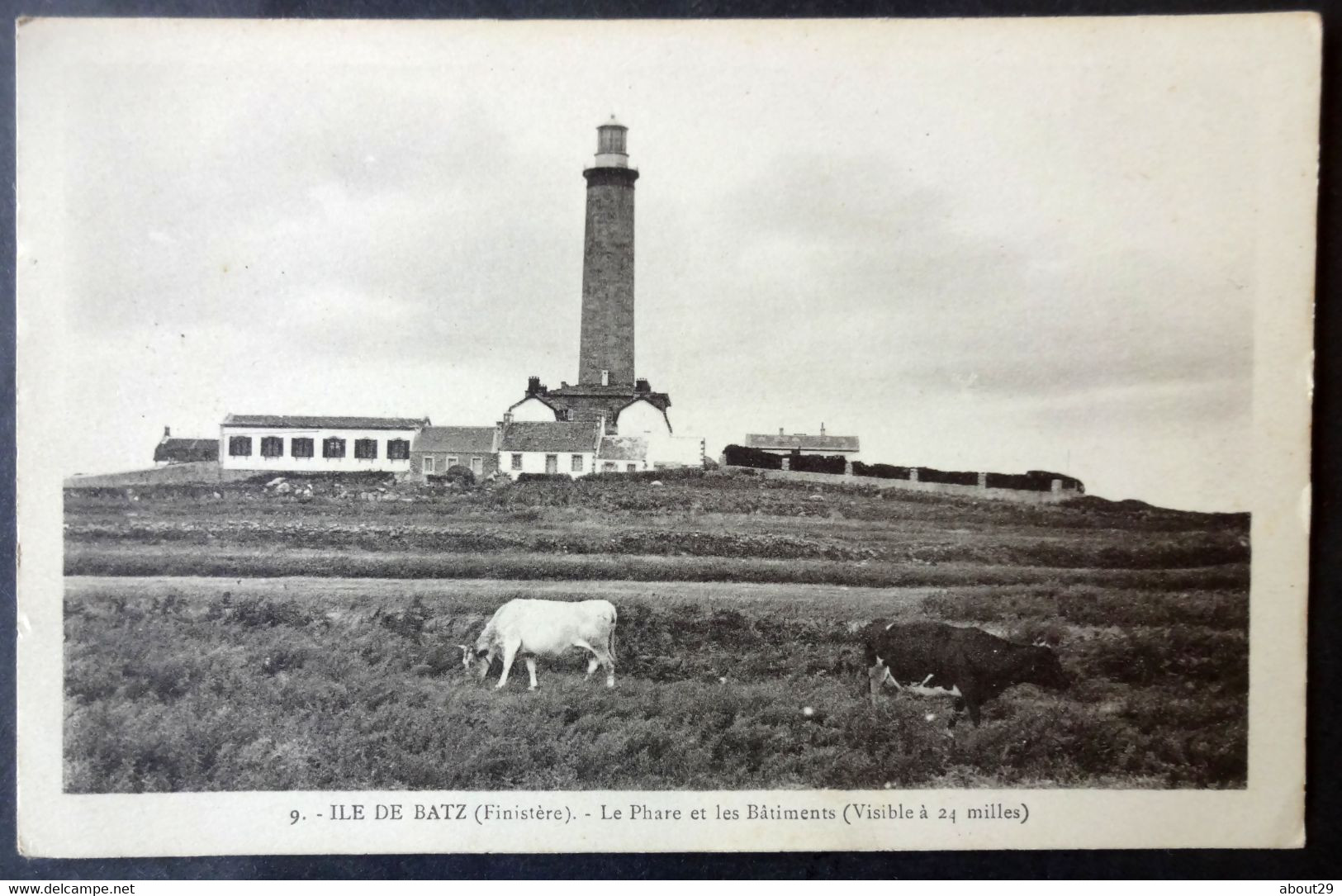 CPA 29 ILE DE BATZ - Le Phare Et Les Bâtiments -  NL 9 - Réf. C 271 - Ile-de-Batz