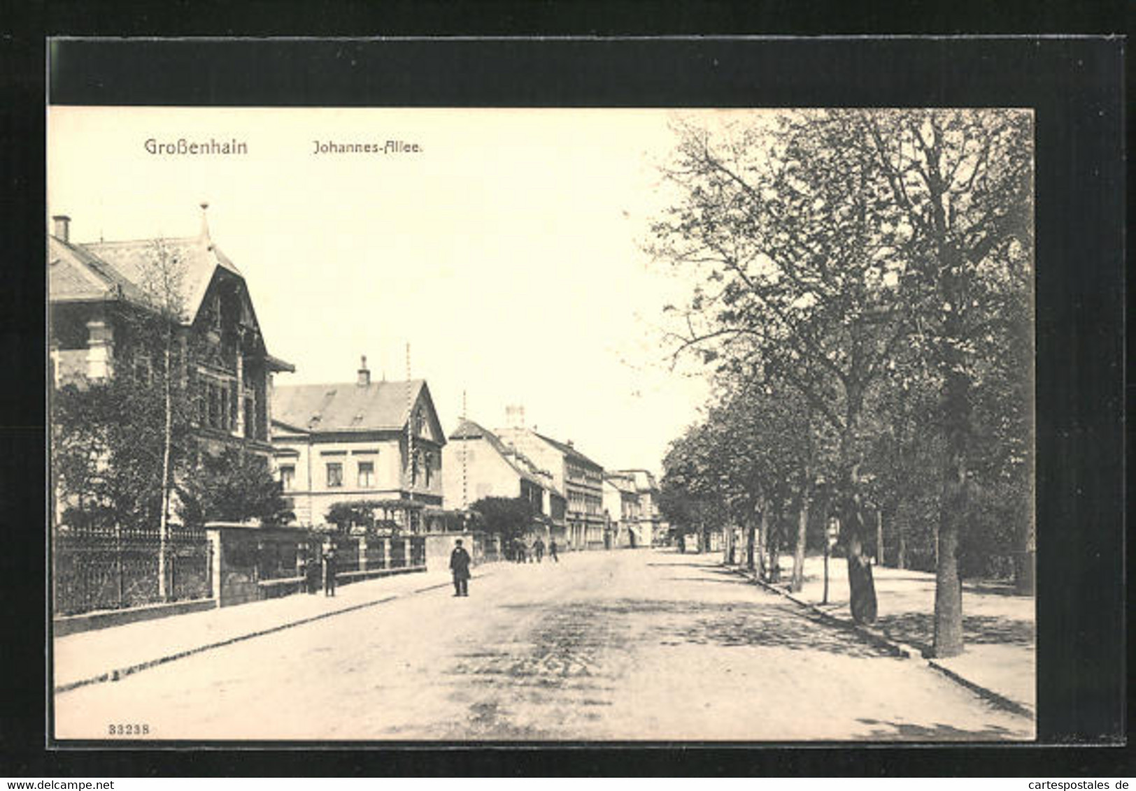 AK Grossenhain, Johannes-Allee Mit Passanten - Grossenhain