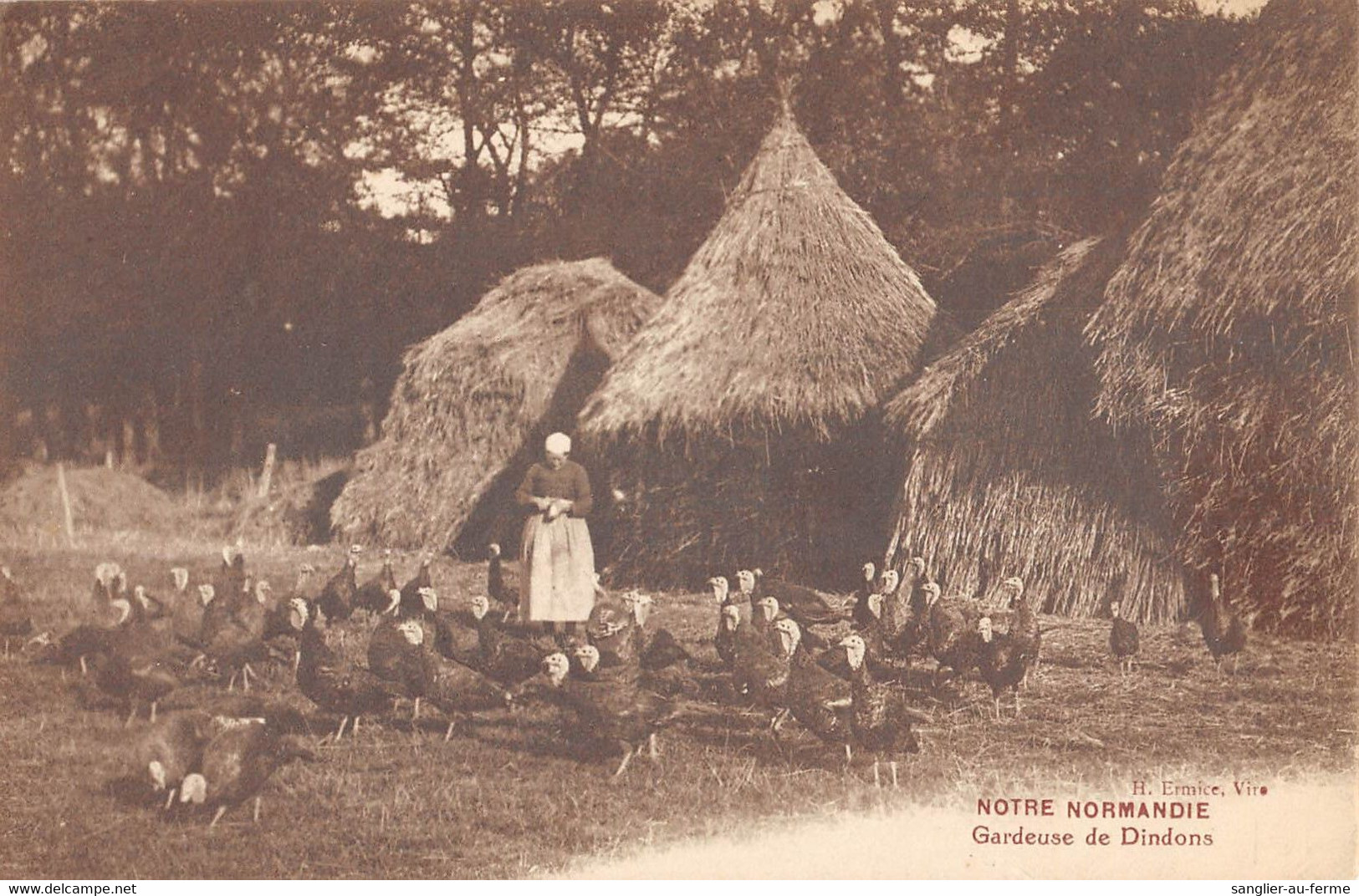 CPA 14 NOTRE NORMANDIE GARDEUSE DE DINDONS - Autres & Non Classés