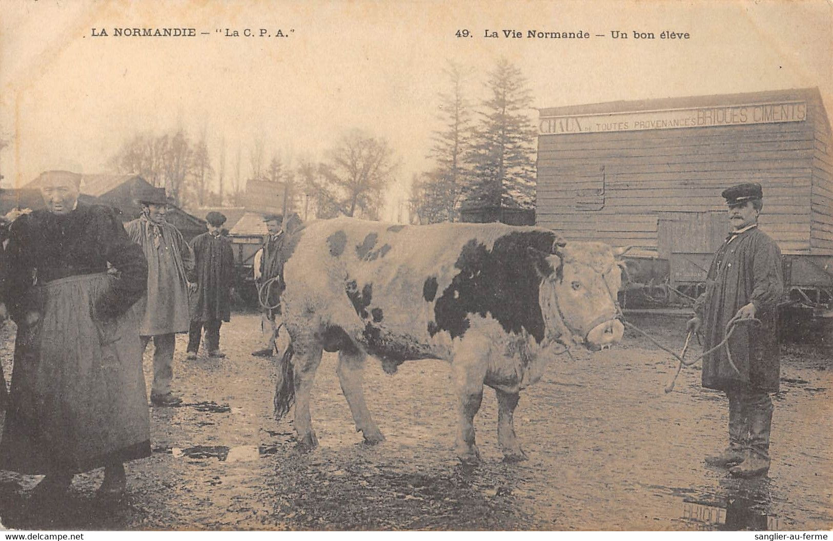 CPA 14 LA NORMANDIE LA VIE NORMANDE UN BON ELEVE - Sonstige & Ohne Zuordnung