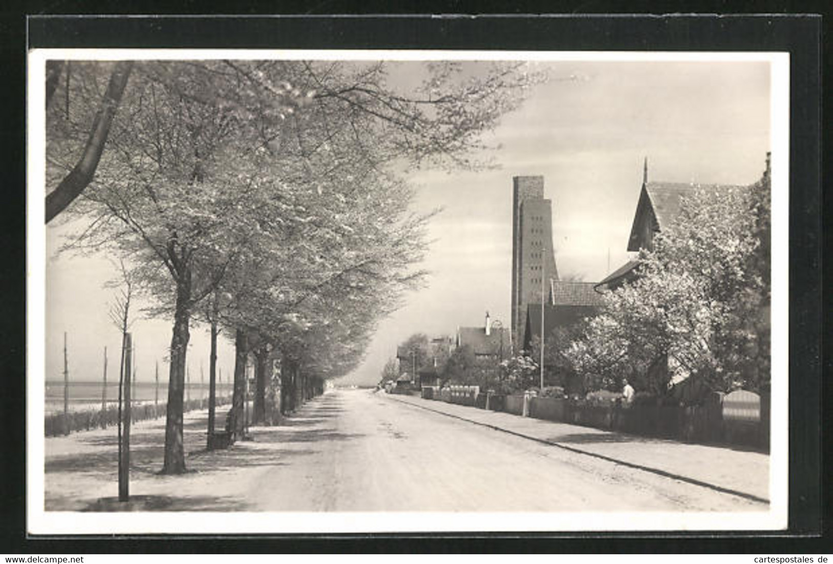 AK Laboe, Strandstrasse Mit Blick Auf Den Turm Des Marine-Ehrenmals - Laboe