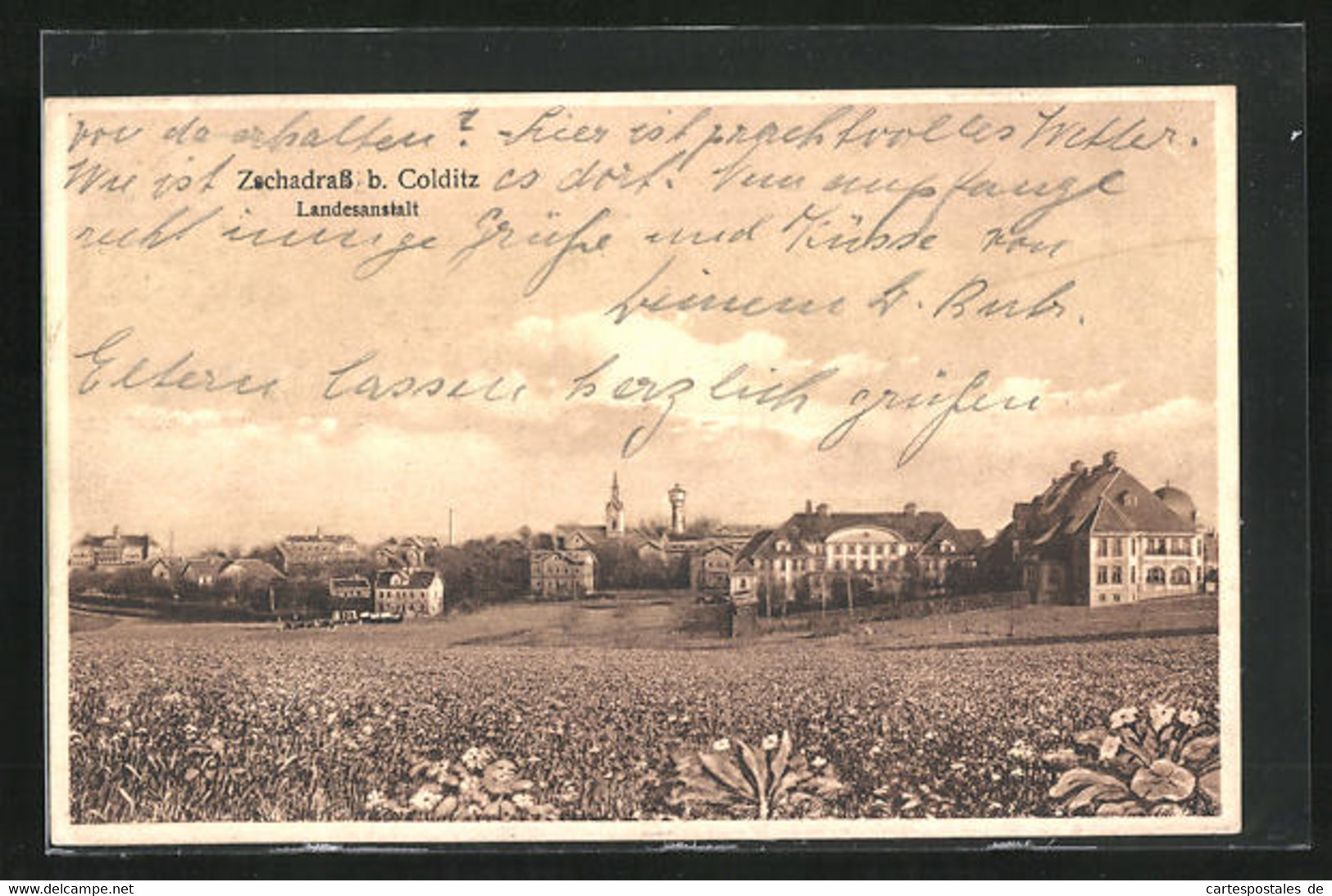 AK Zschadrass B. Colditz, Blick Auf Die Landesanstalt - Colditz