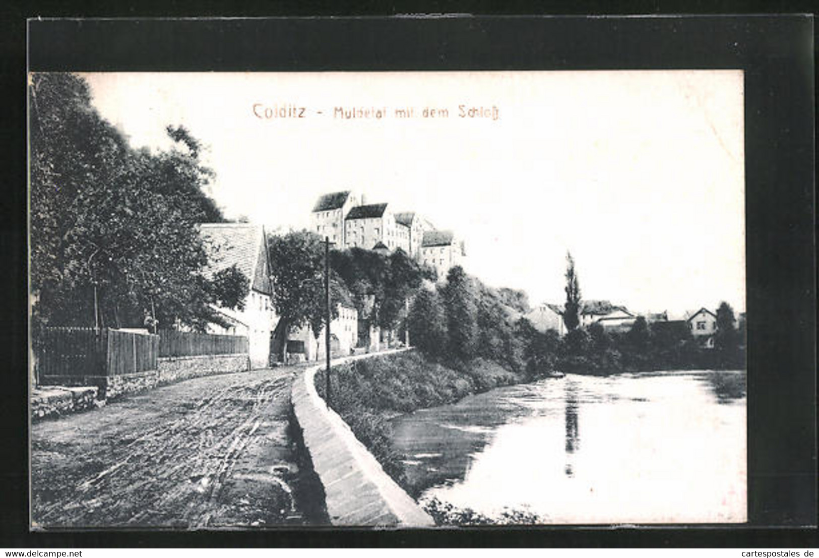 AK Colditz, Muldetal Mit Dem Schloss - Colditz