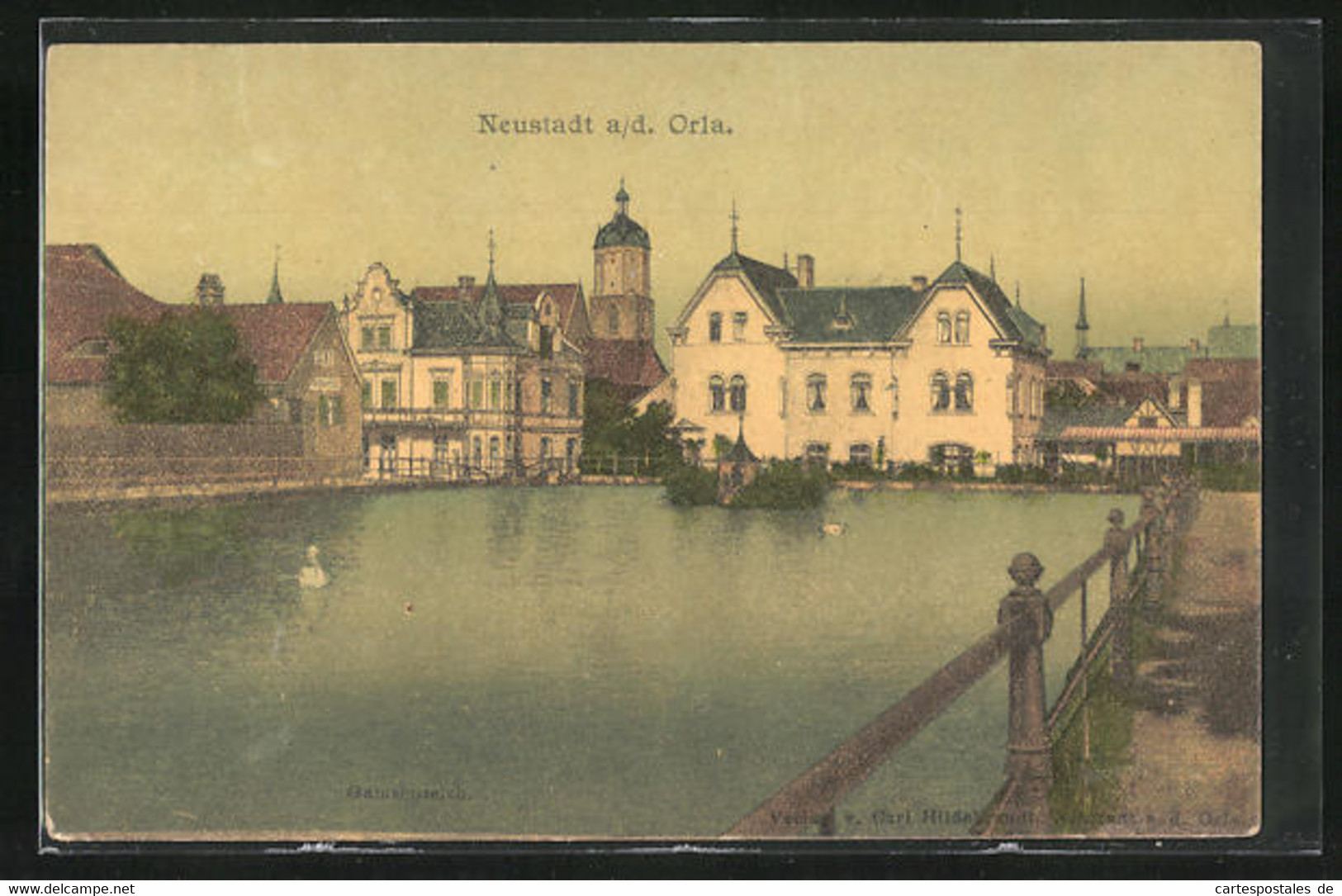 AK Neustadt A. D. Orla, Blick Auf Den Gamsenteich - Neustadt / Orla