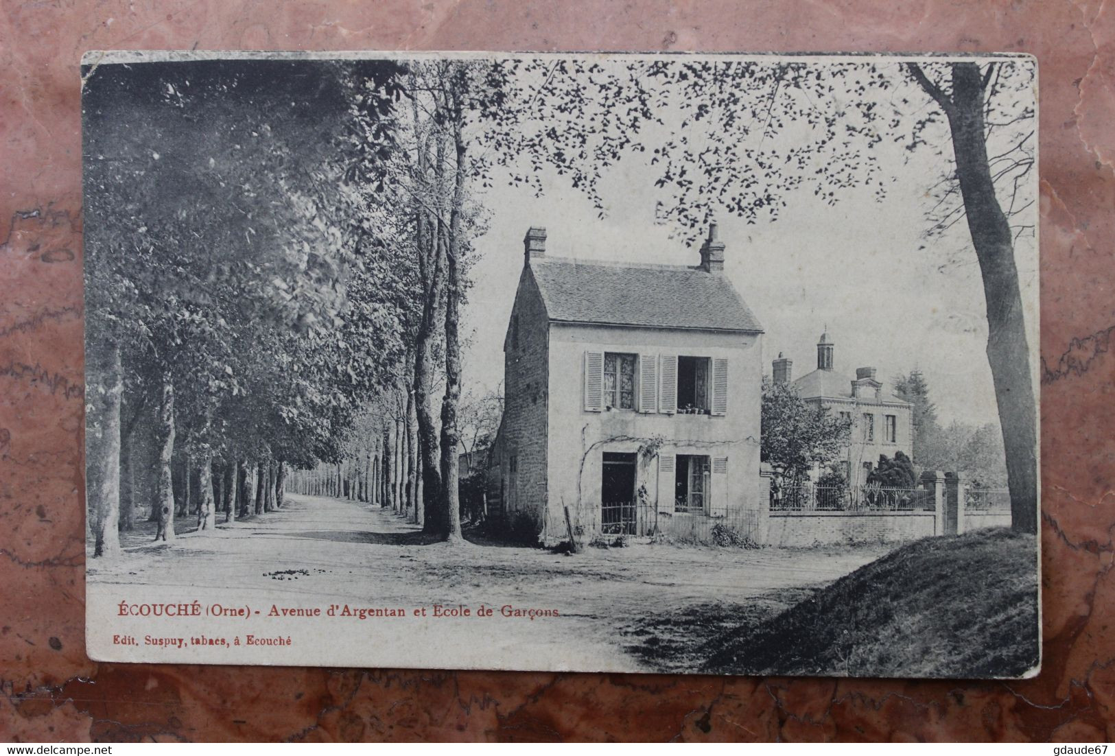 ECOUCHE (61) - AVENUE D'ARGENTAN ET ECOLE DE GARCONS - Ecouche