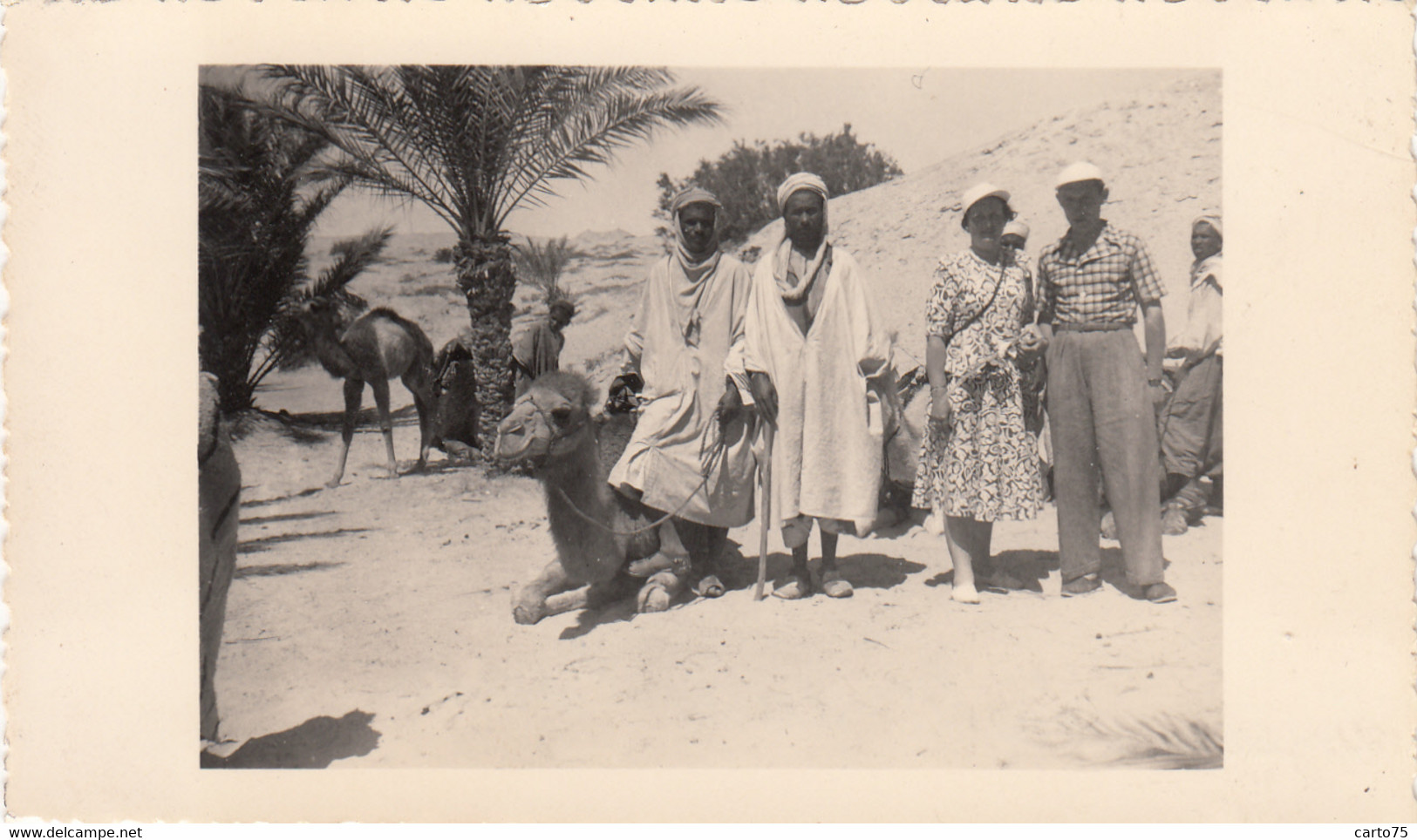 Photographie - Croisière En Méditerranée - Tunisie - Tozeur - Halte Dans L'oasis - Fotografie