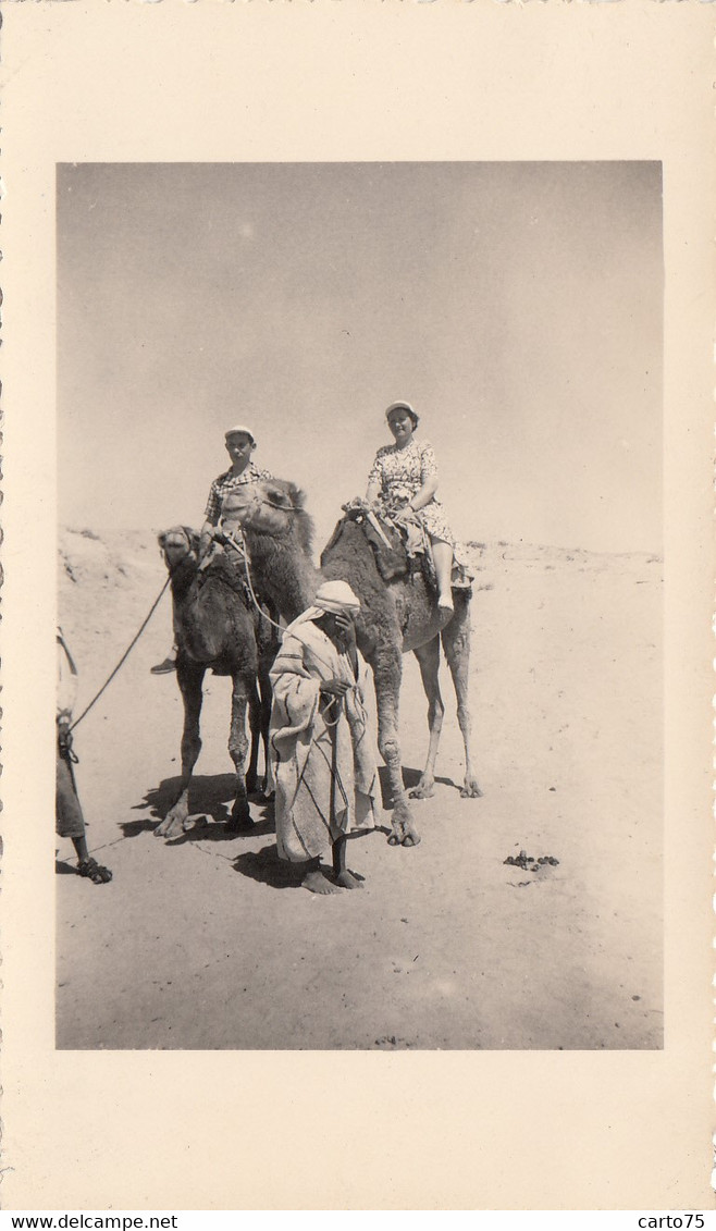 Photographie - Croisière En Méditerranée - Tunisie - Tozeur - En Route Pour Le Belvédère - Photographs