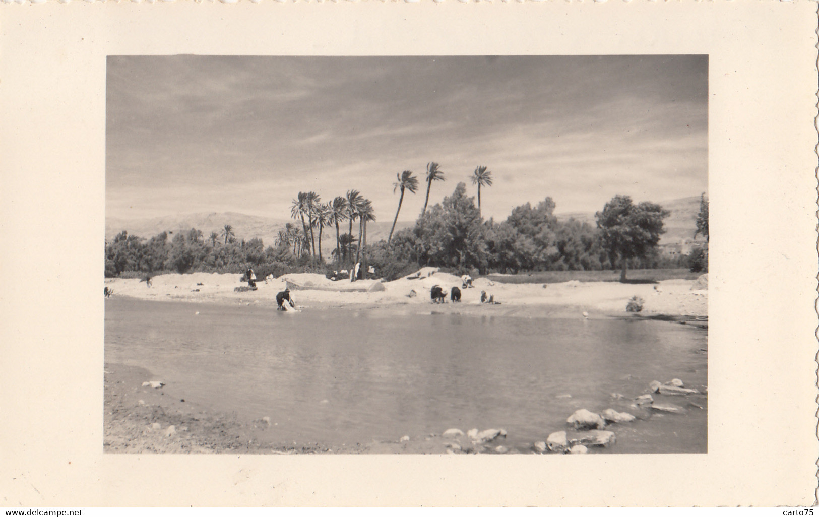 Photographie - Croisière En Méditerranée - Maroc - Tinghir Tinerhir - L'Oued Draa - Fotografie